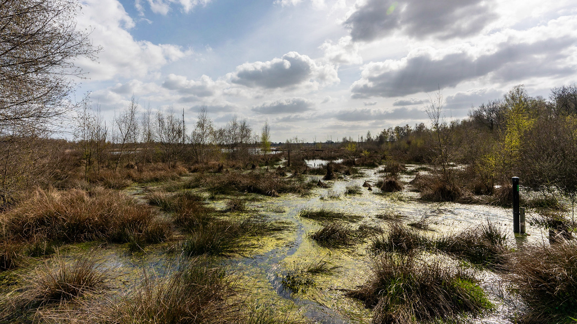 Mariapeel - The Netherlands