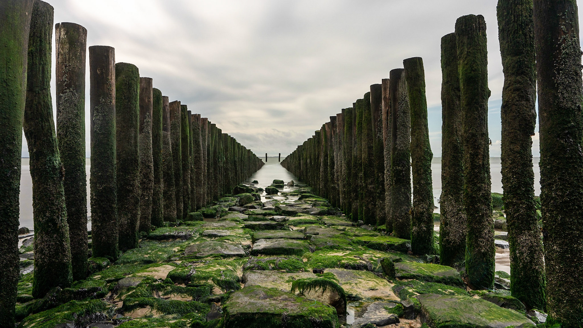 North Sea - The Netherlands