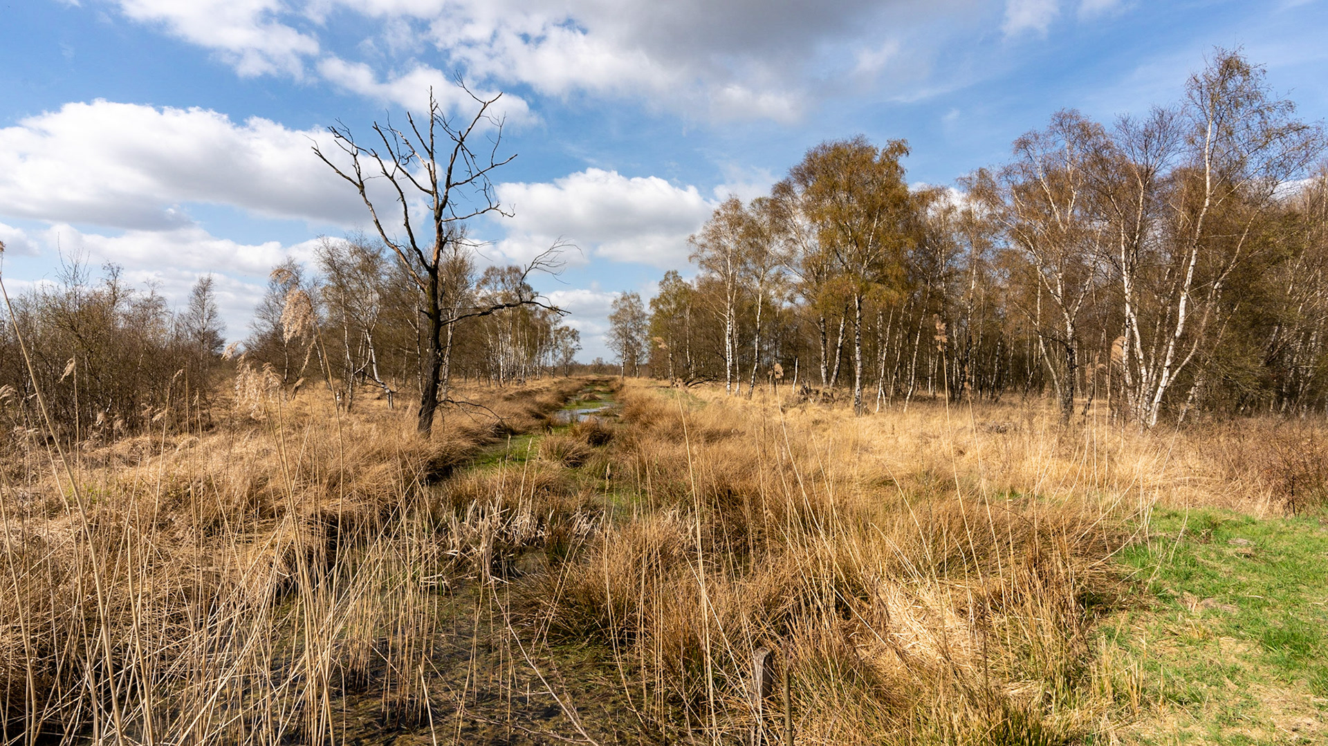 Mariapeel - The Netherlands