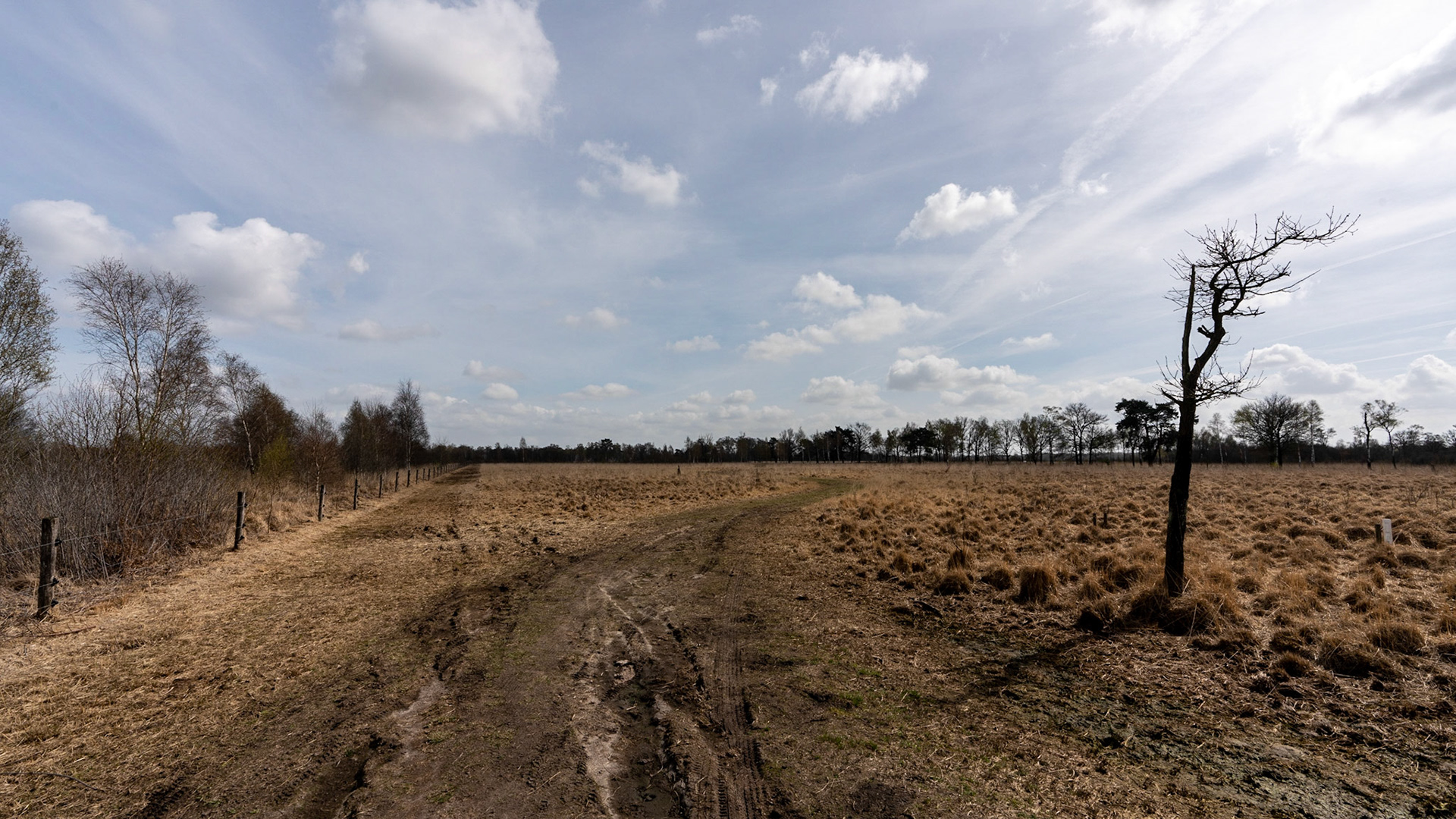 Mariapeel - The Netherlands