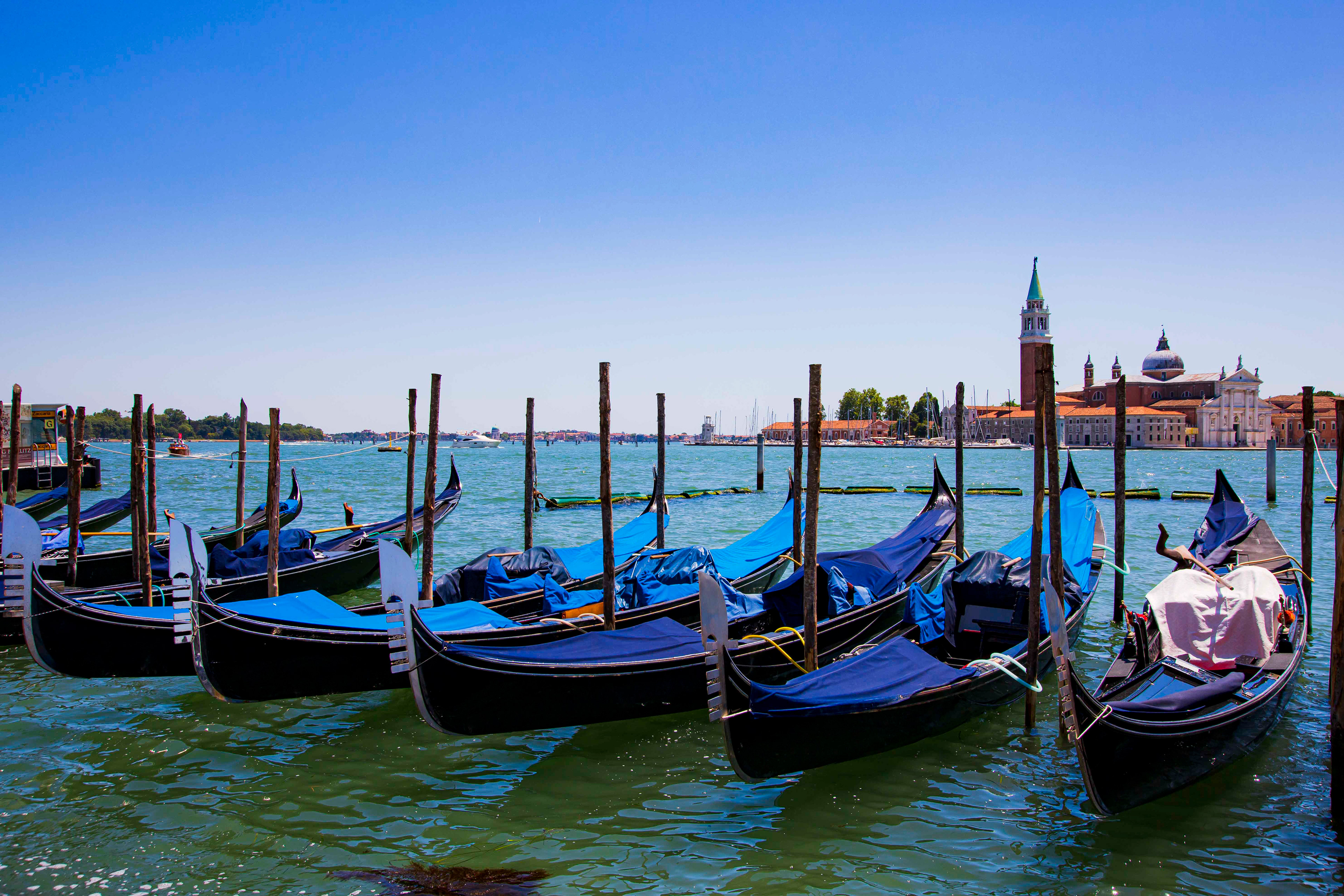 Venezia