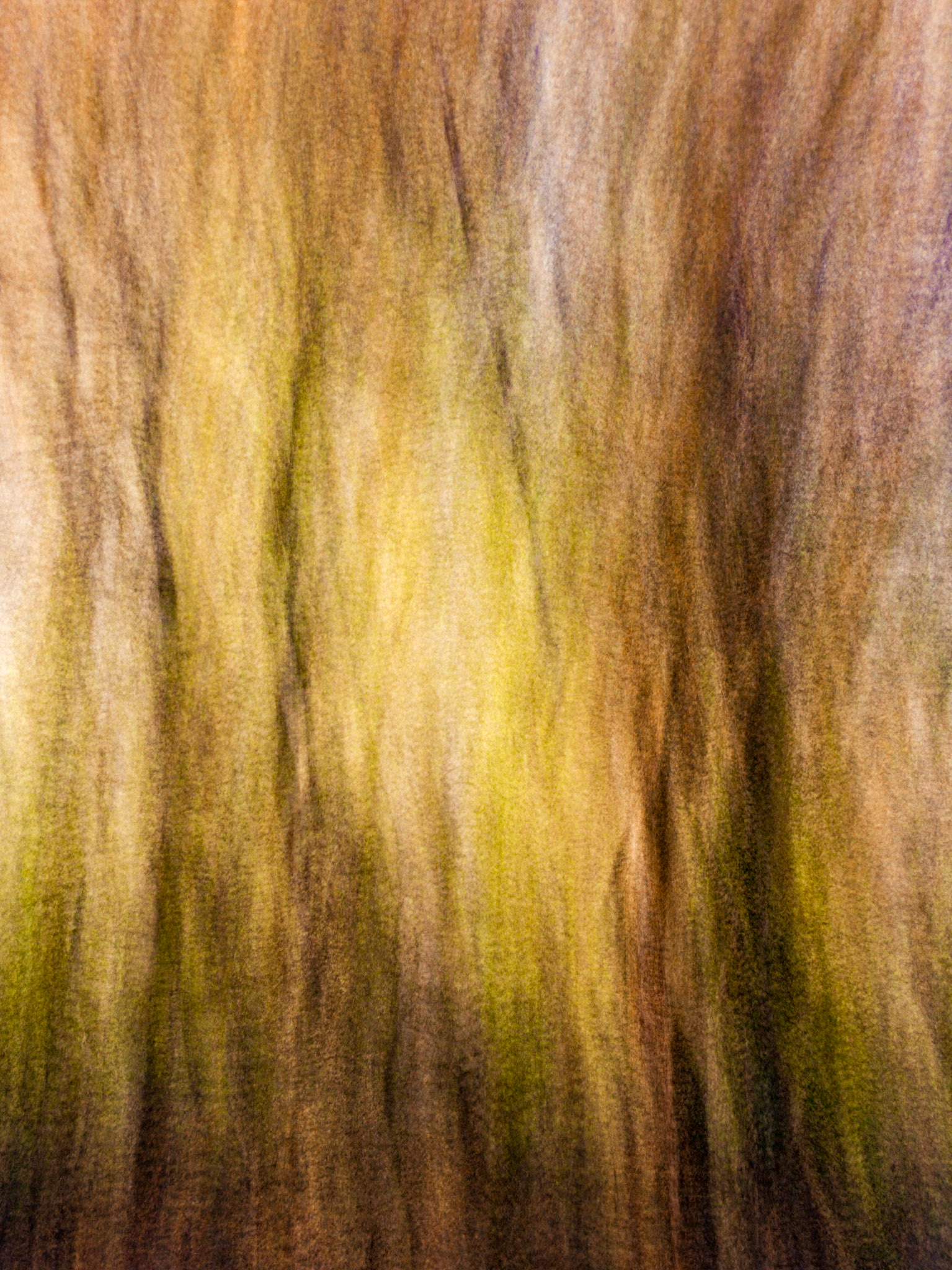 Autumnal #1