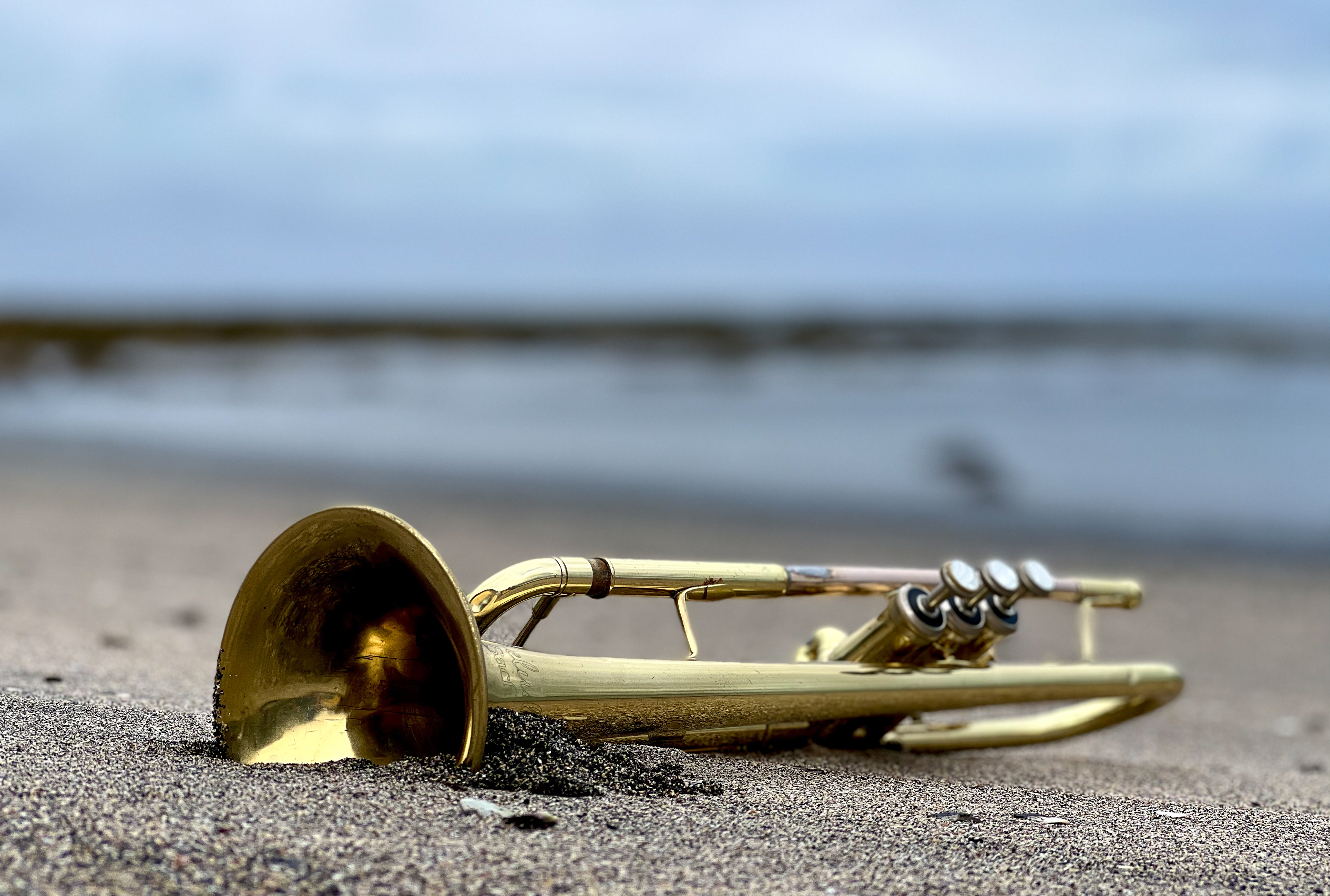 Kotagrandi and trumpet