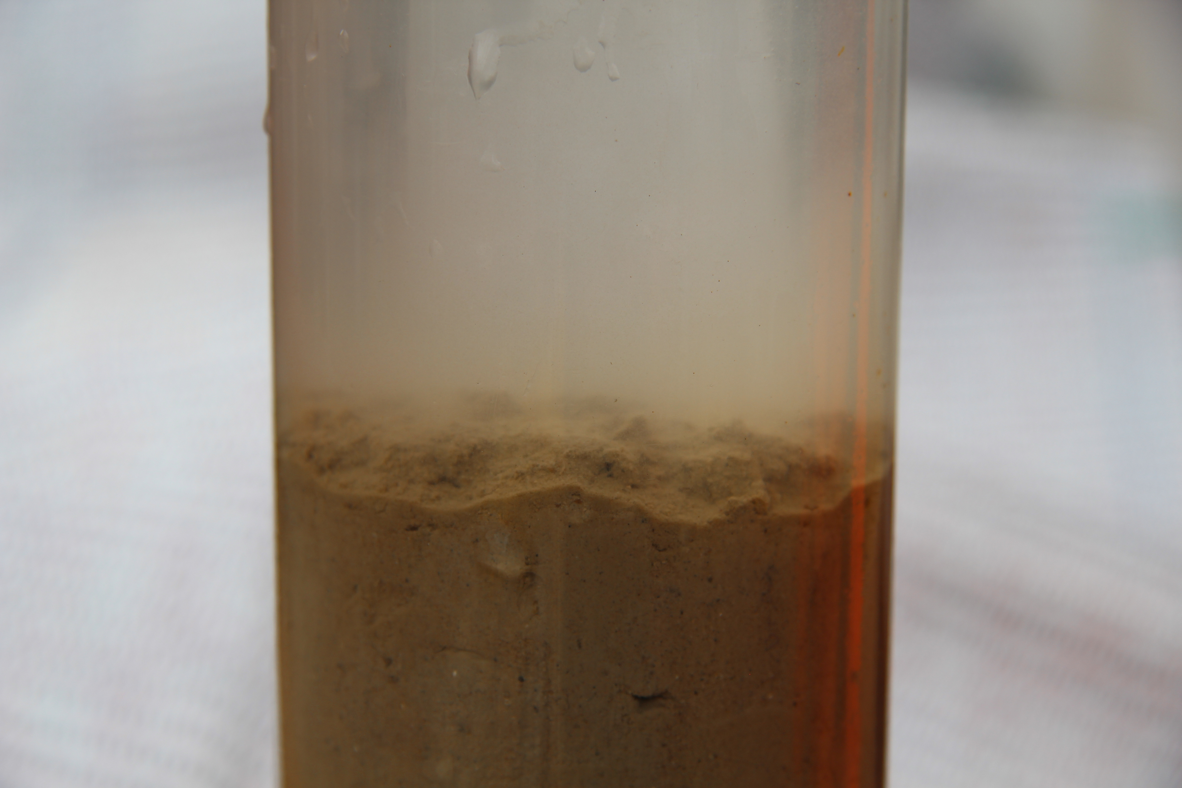 Rumohr core extracted from Irminger Basin, North Atlantic Ocean in June 2021.