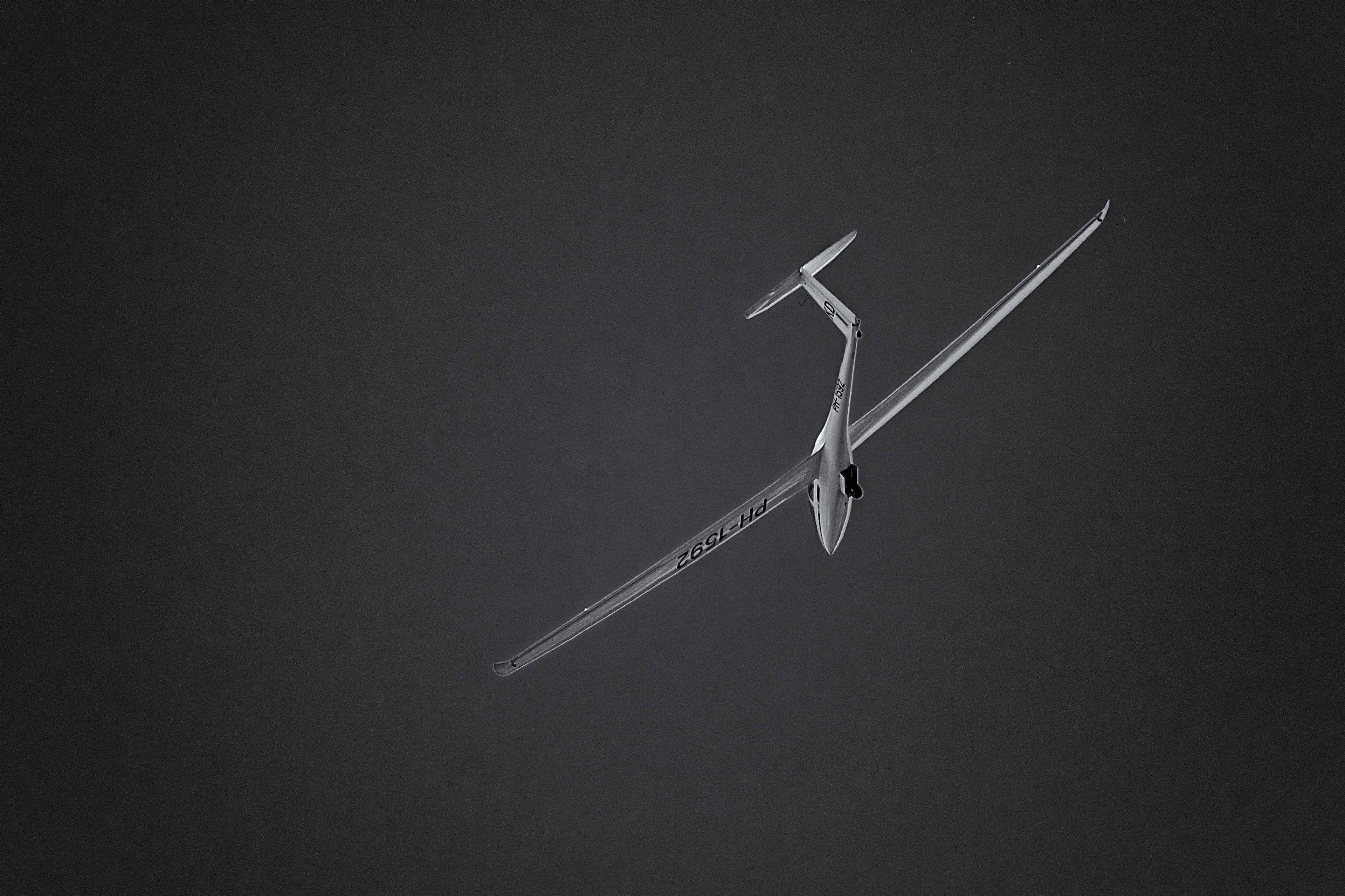 Someday I'll fly away ...