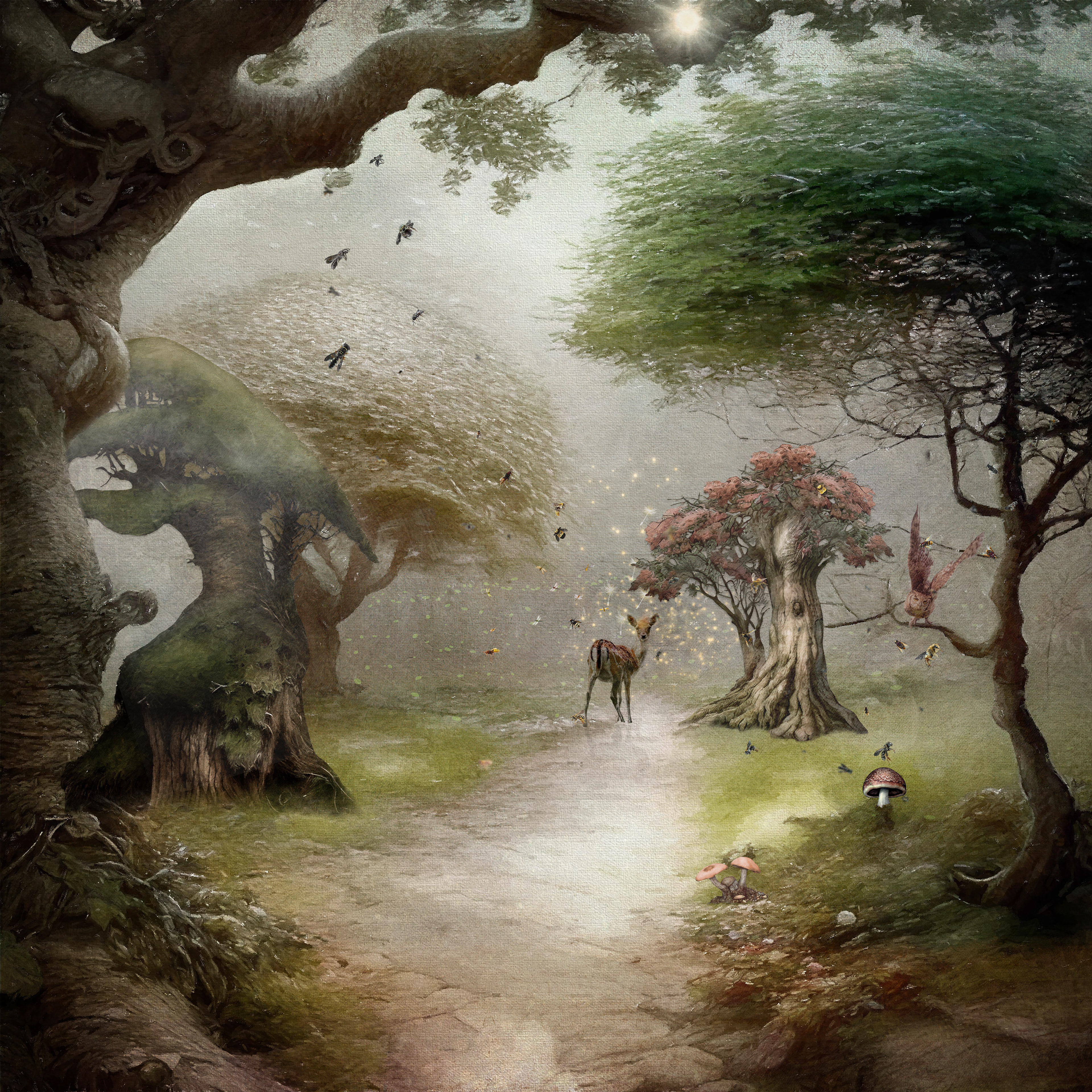 Deep, deep in the fairytale forest ...
