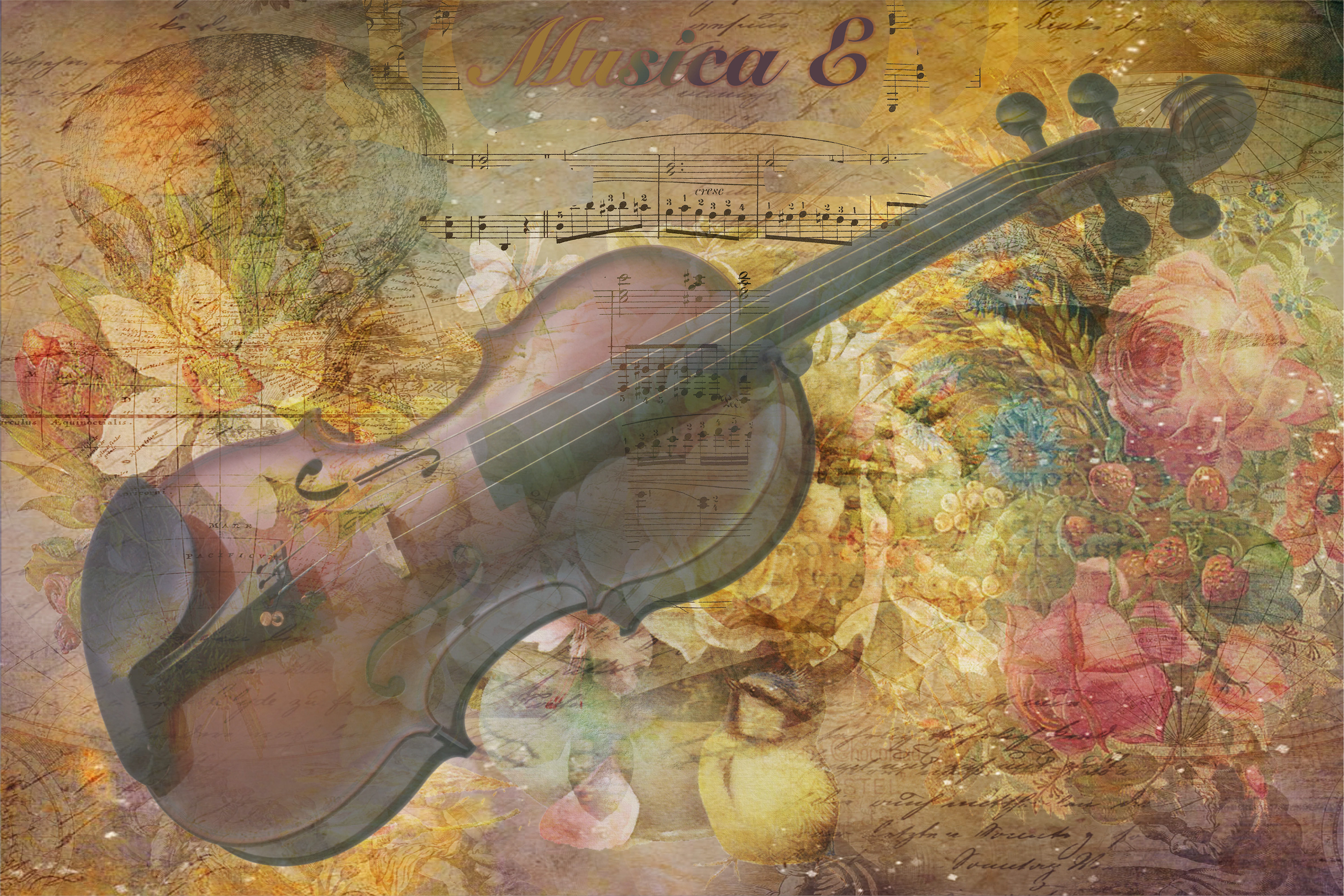 Musica E