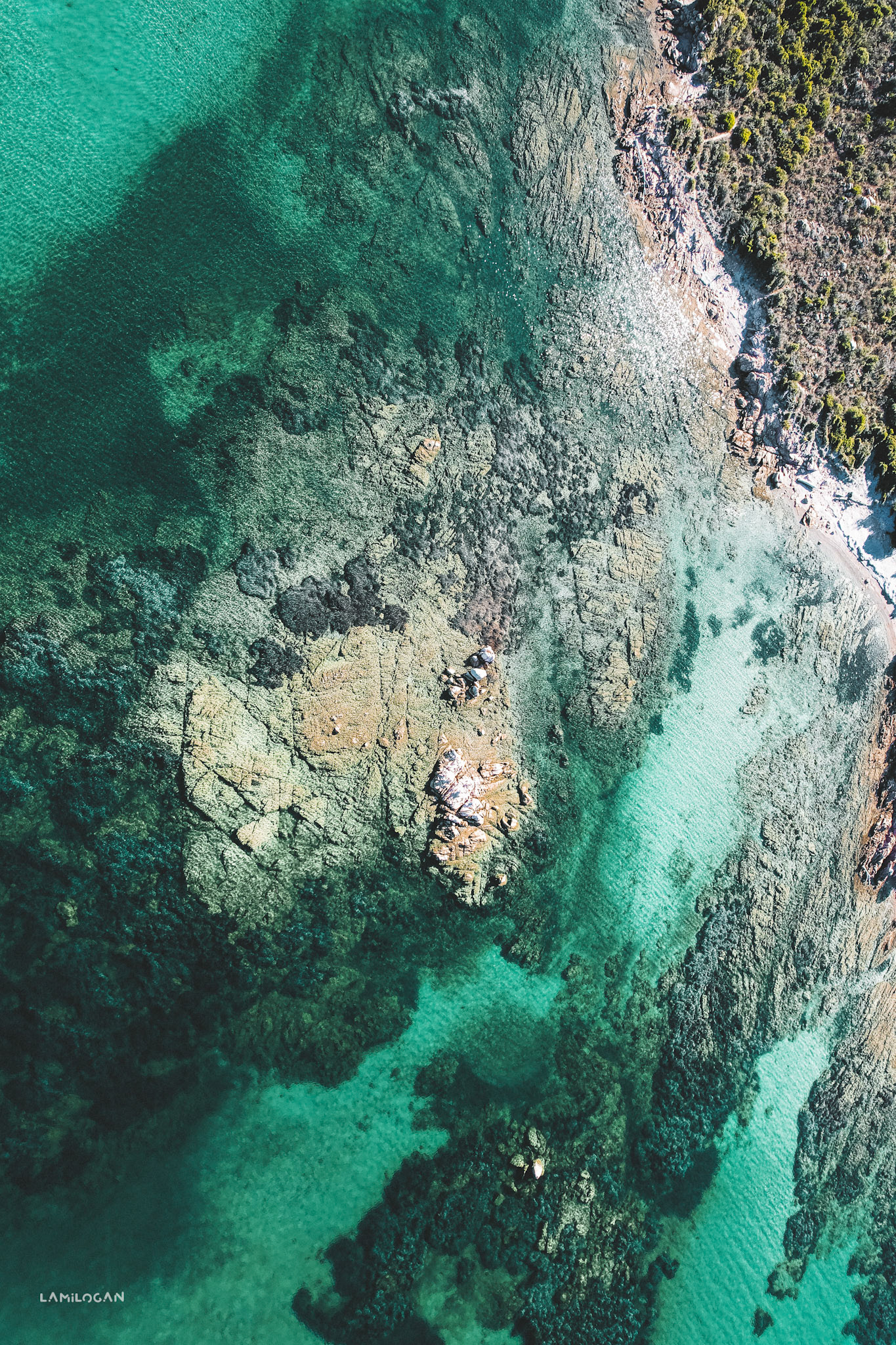 Corsica