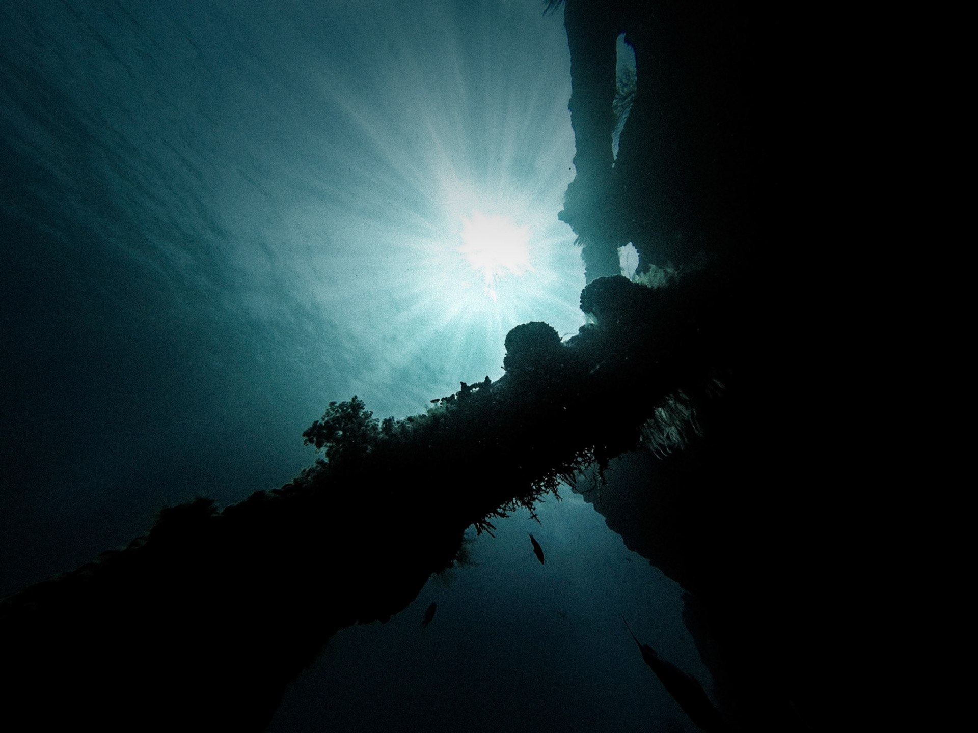 DCIM\106GOPRO\GOPR0209.