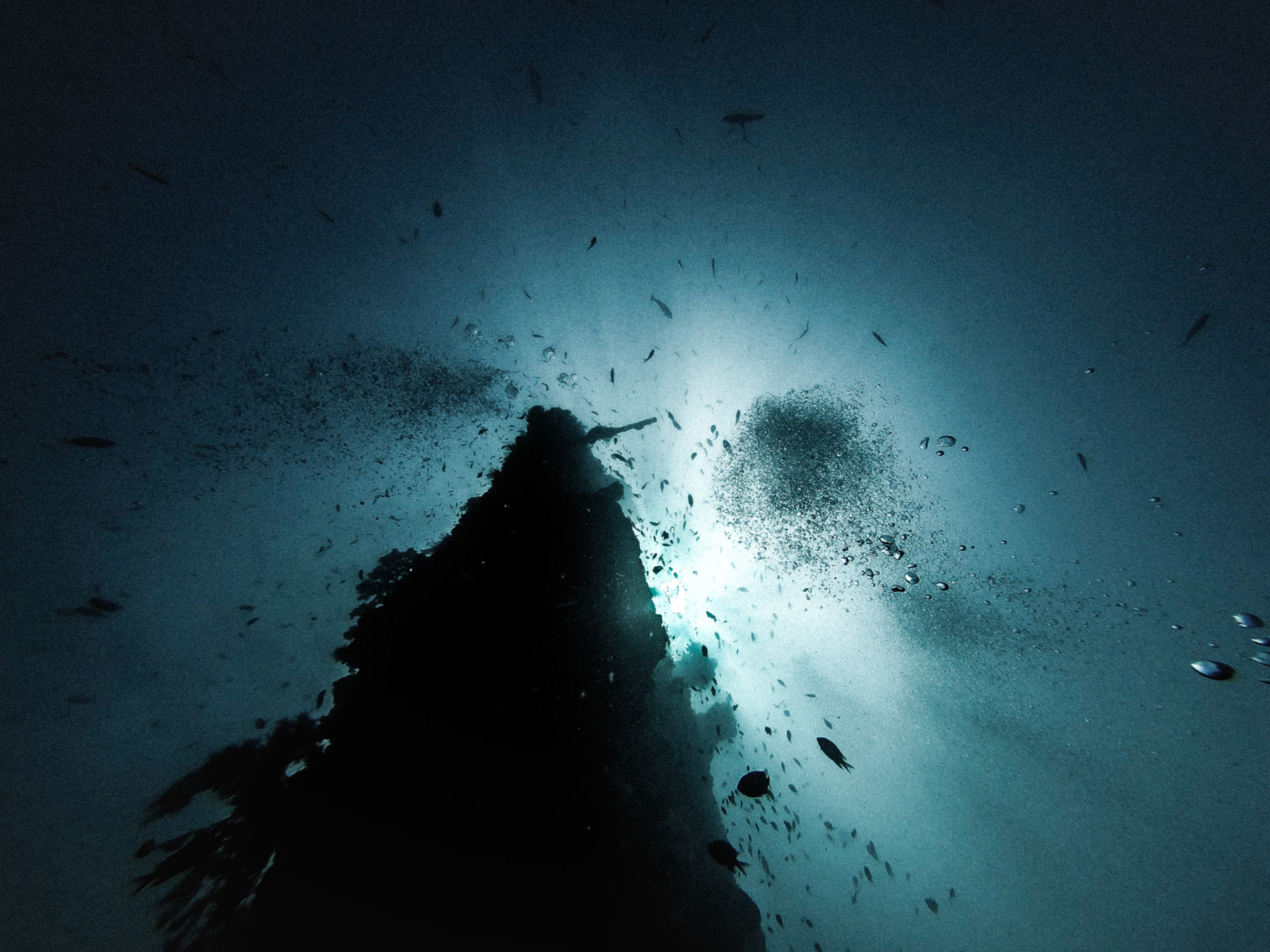 Sunken wreck from the bottom of the sea. About 20 meters in the deep. In the middle the mast directing upwards to the light surrounded by many small fishes.