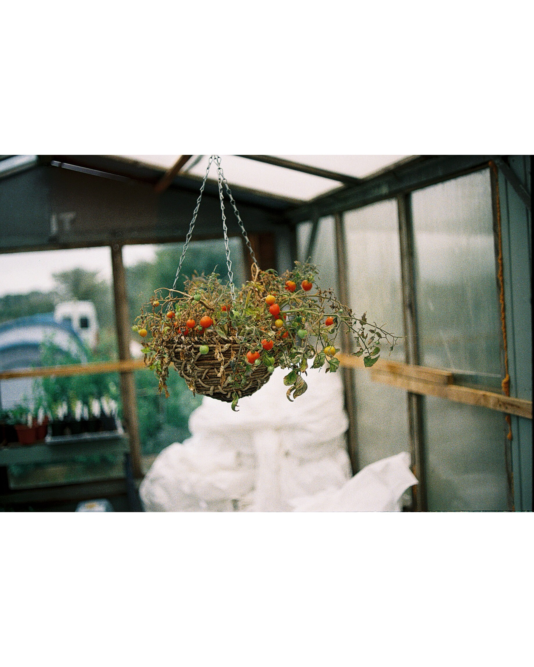 Hanging Gardens.