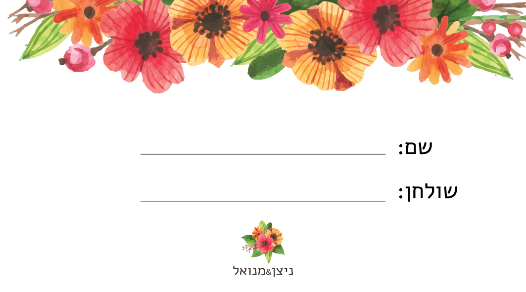כרטיס הושבה