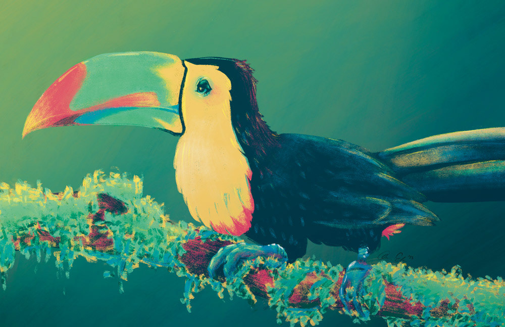 "Toucan Do It!" - Procreate illustration; limited color palette inspired by one of my favorite childhood puns.