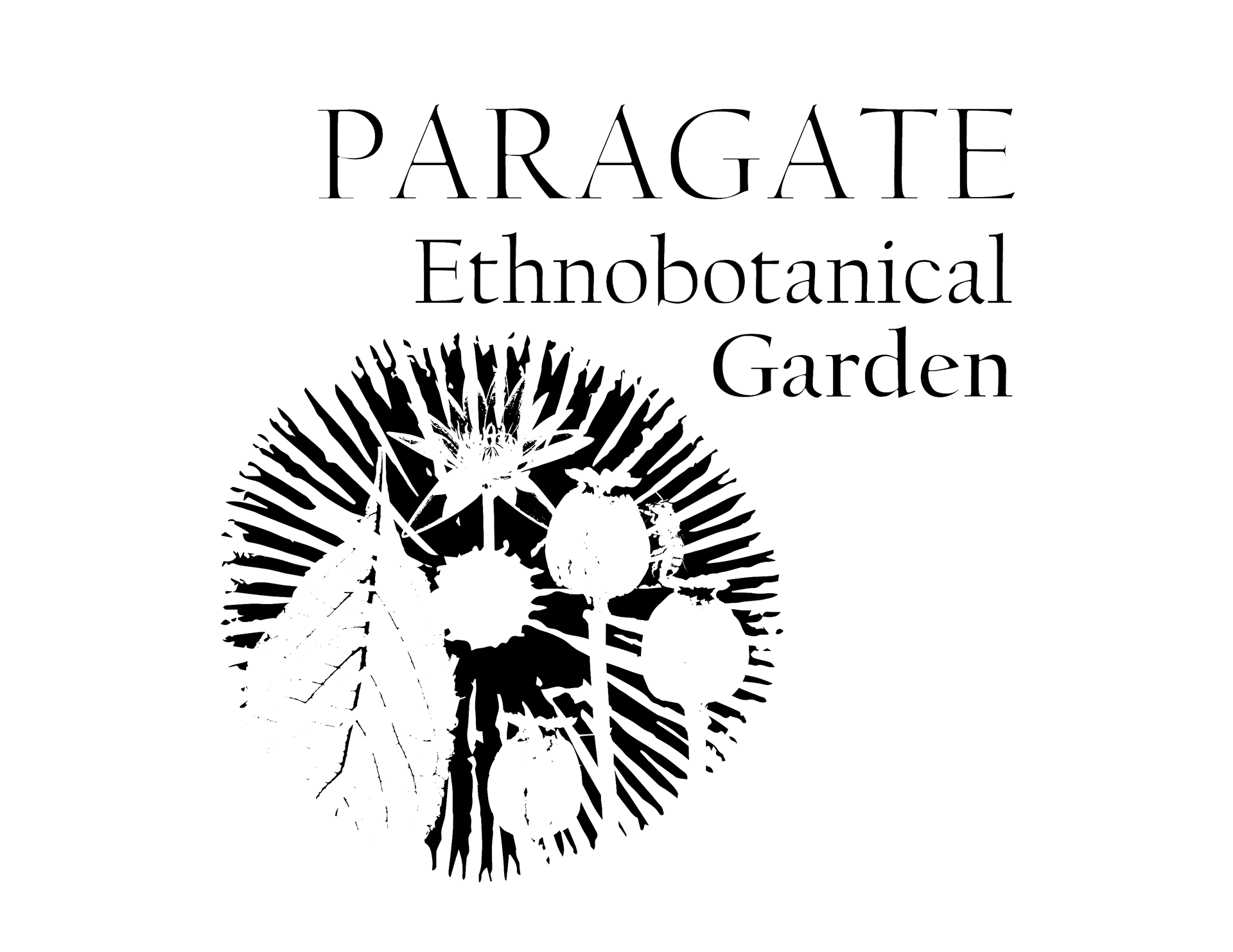 Text Logo
