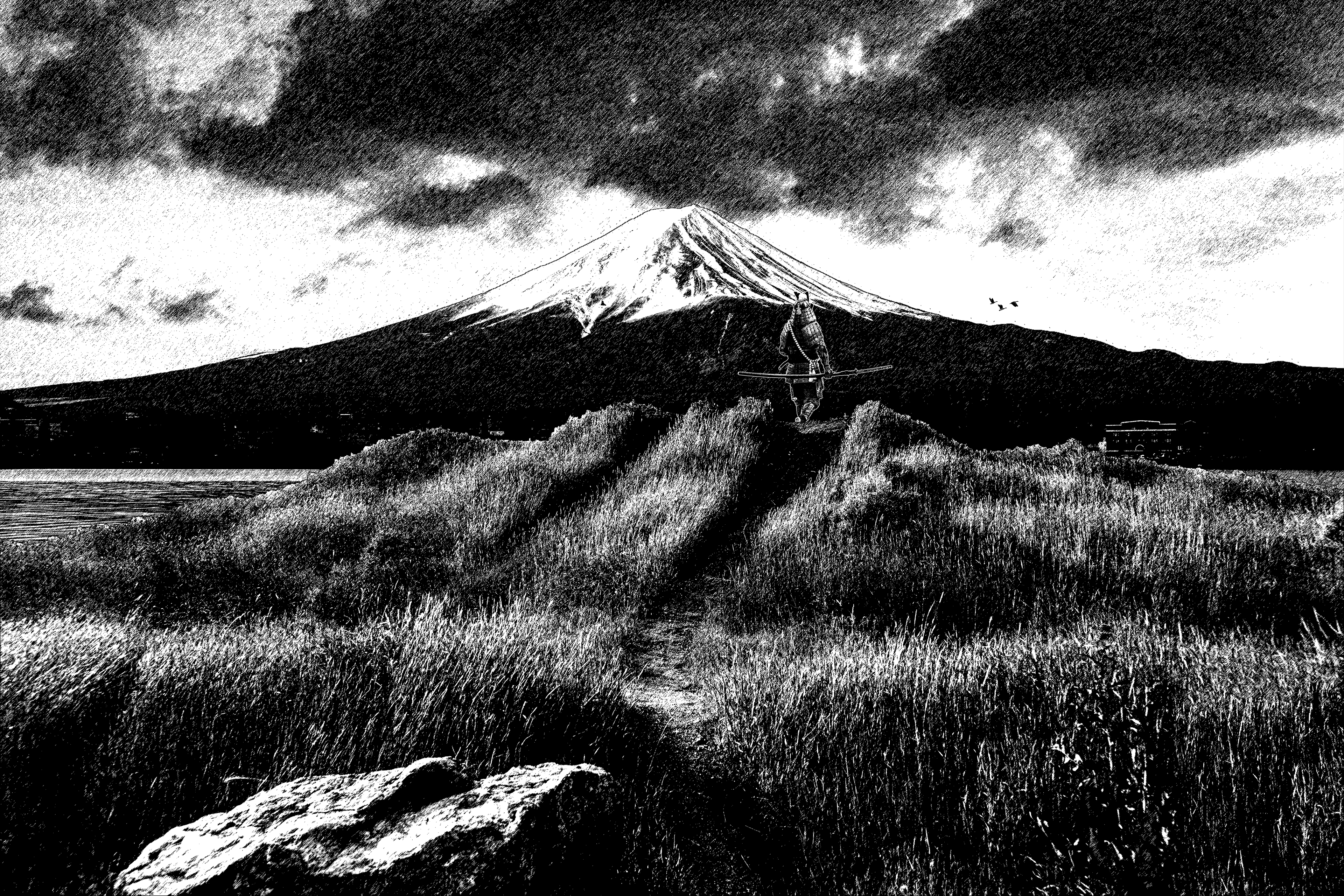 Fuji in Full Display