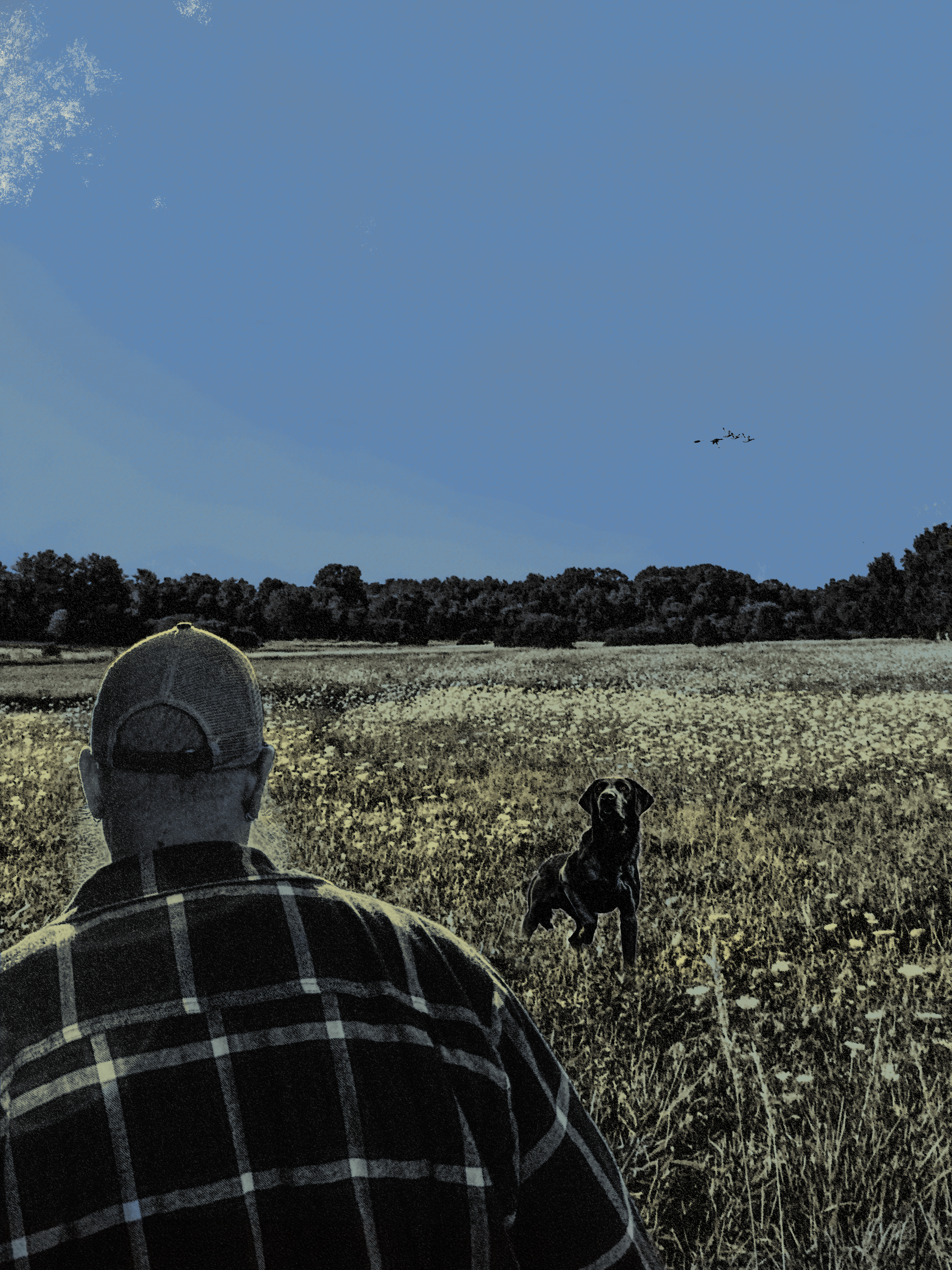 For Dad and an old dog | Love, Caleb