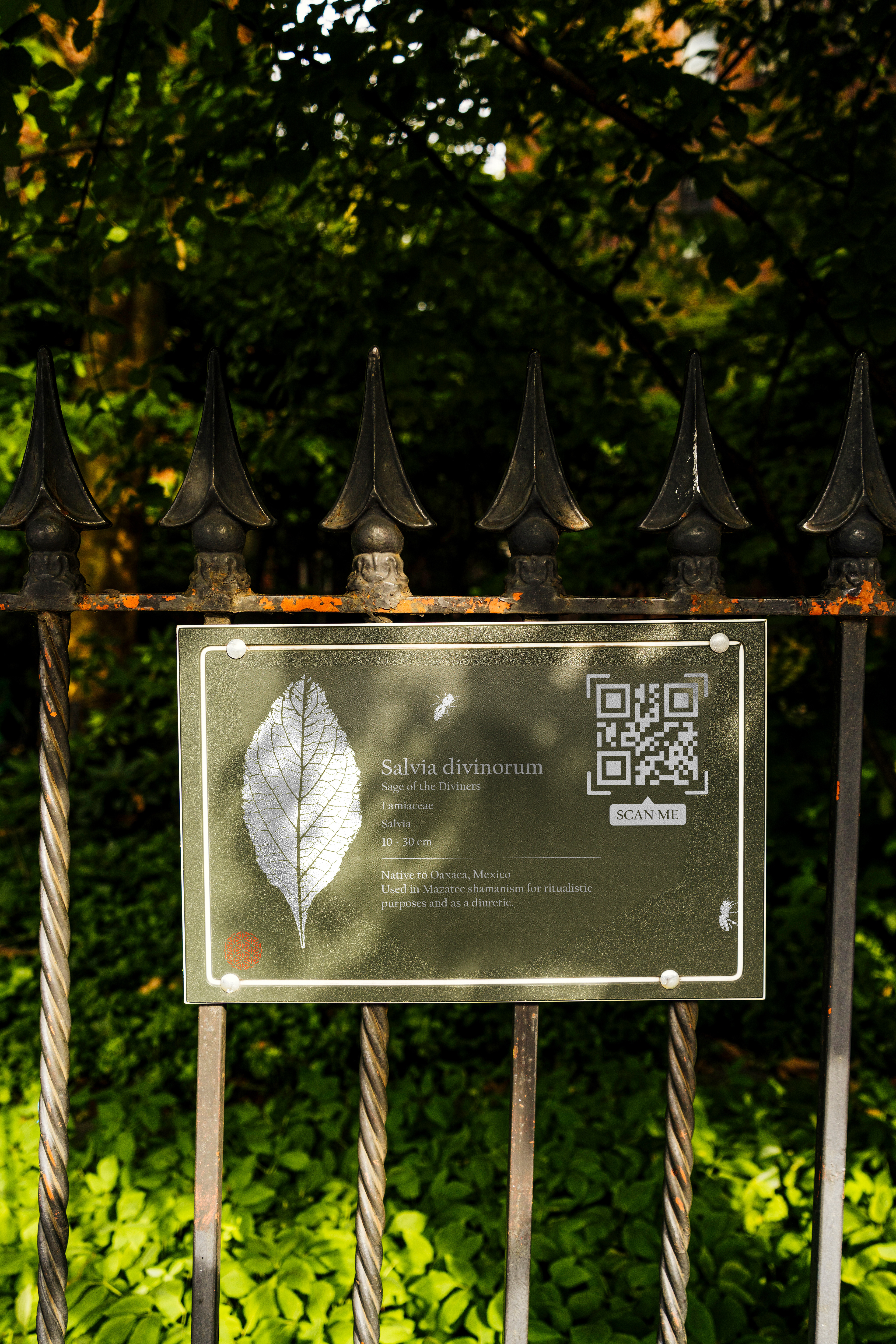 Sign Mockup