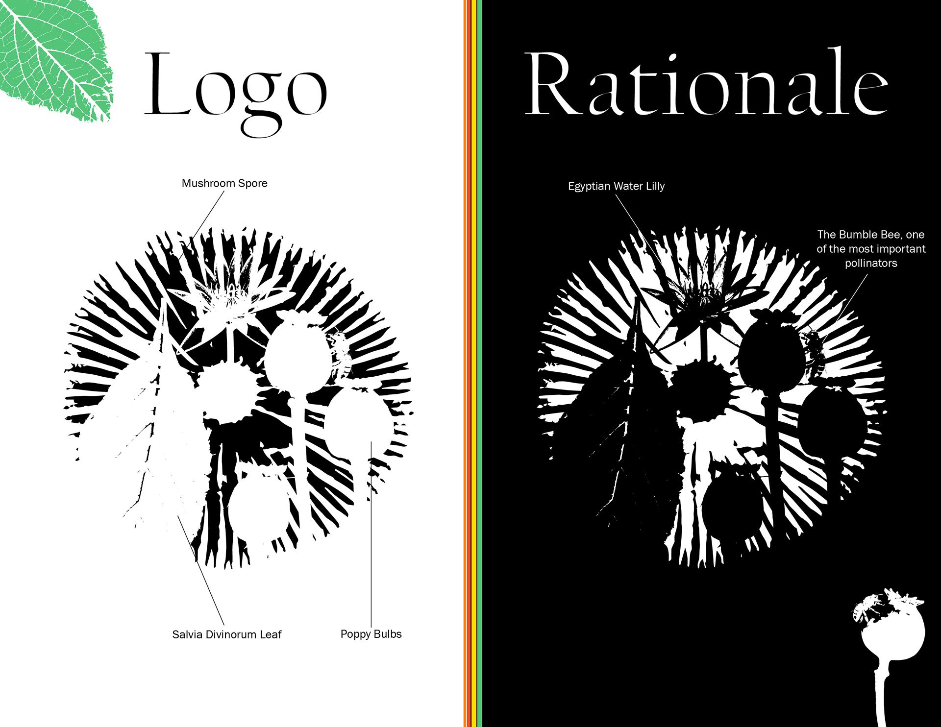 Logo Rationale