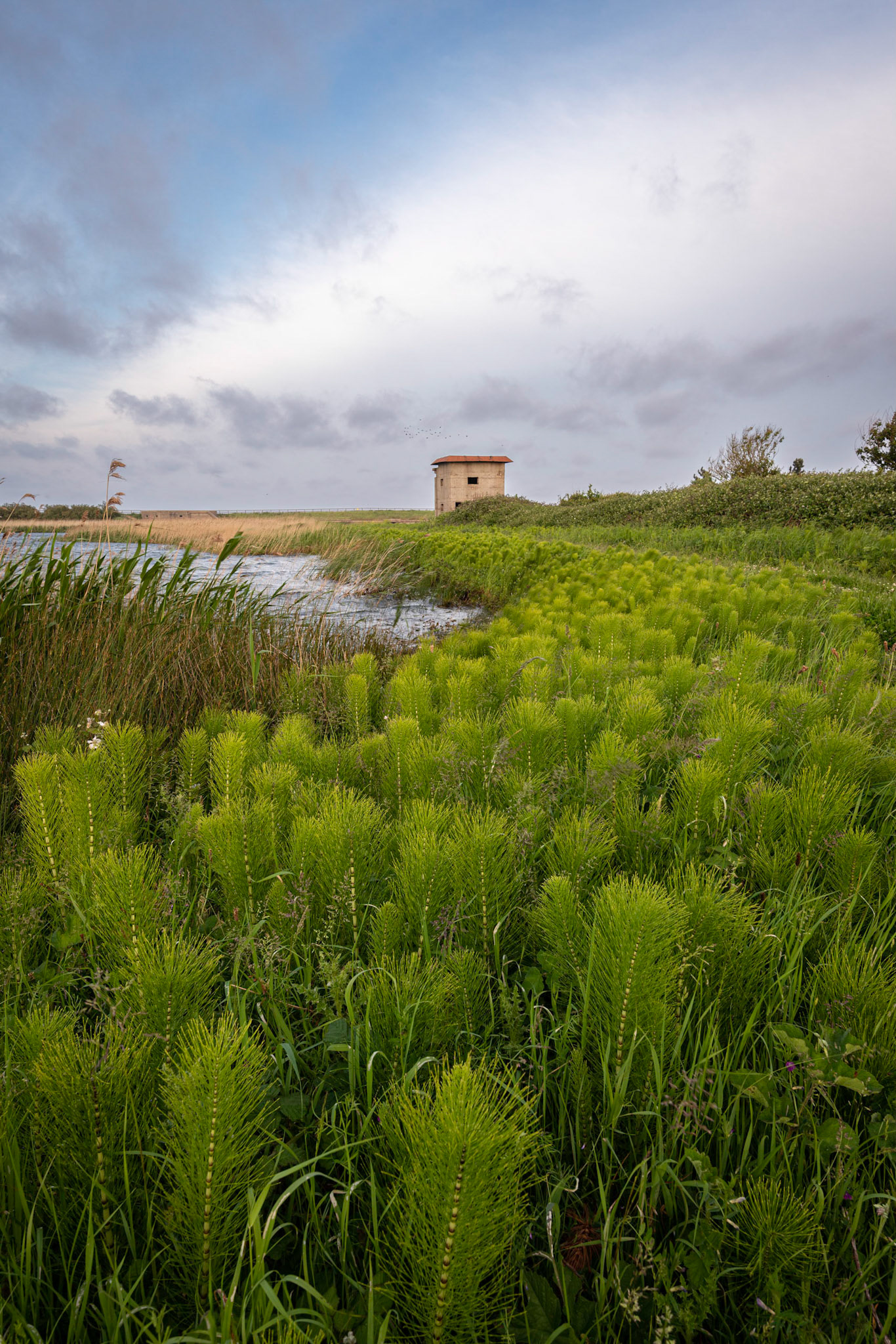 The Observation Post at East Lane