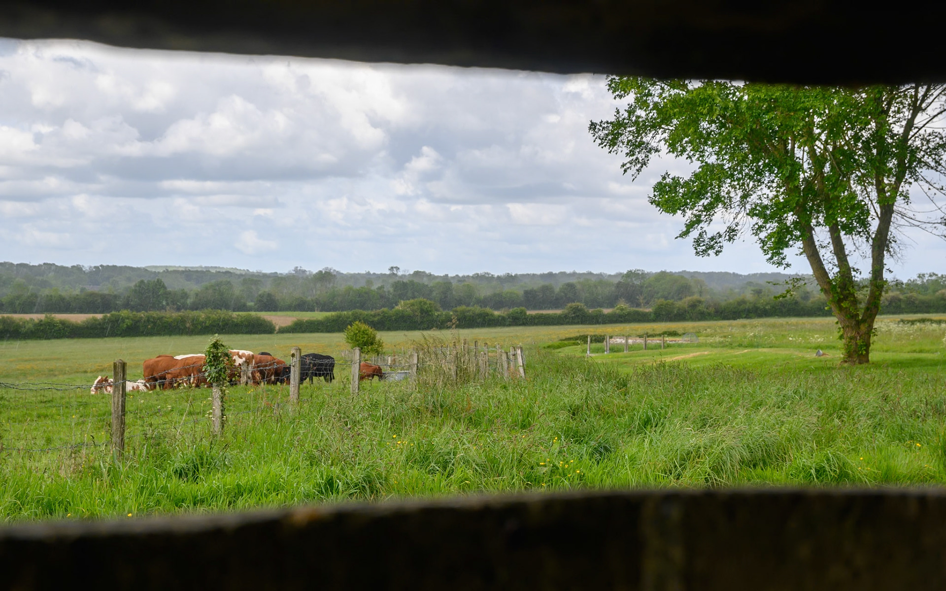Looking out from the Azeville battery