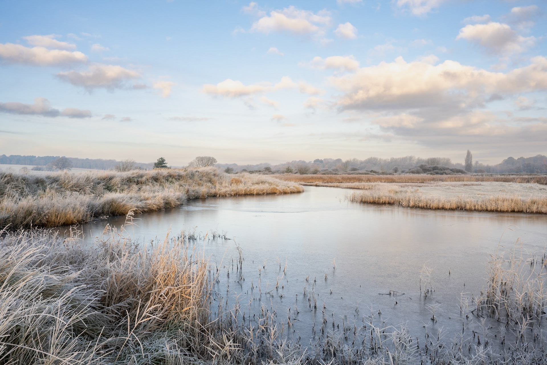 Levington Lagoon