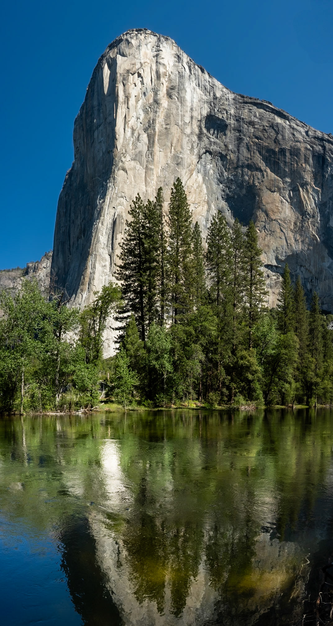 Yosemite, California, USA