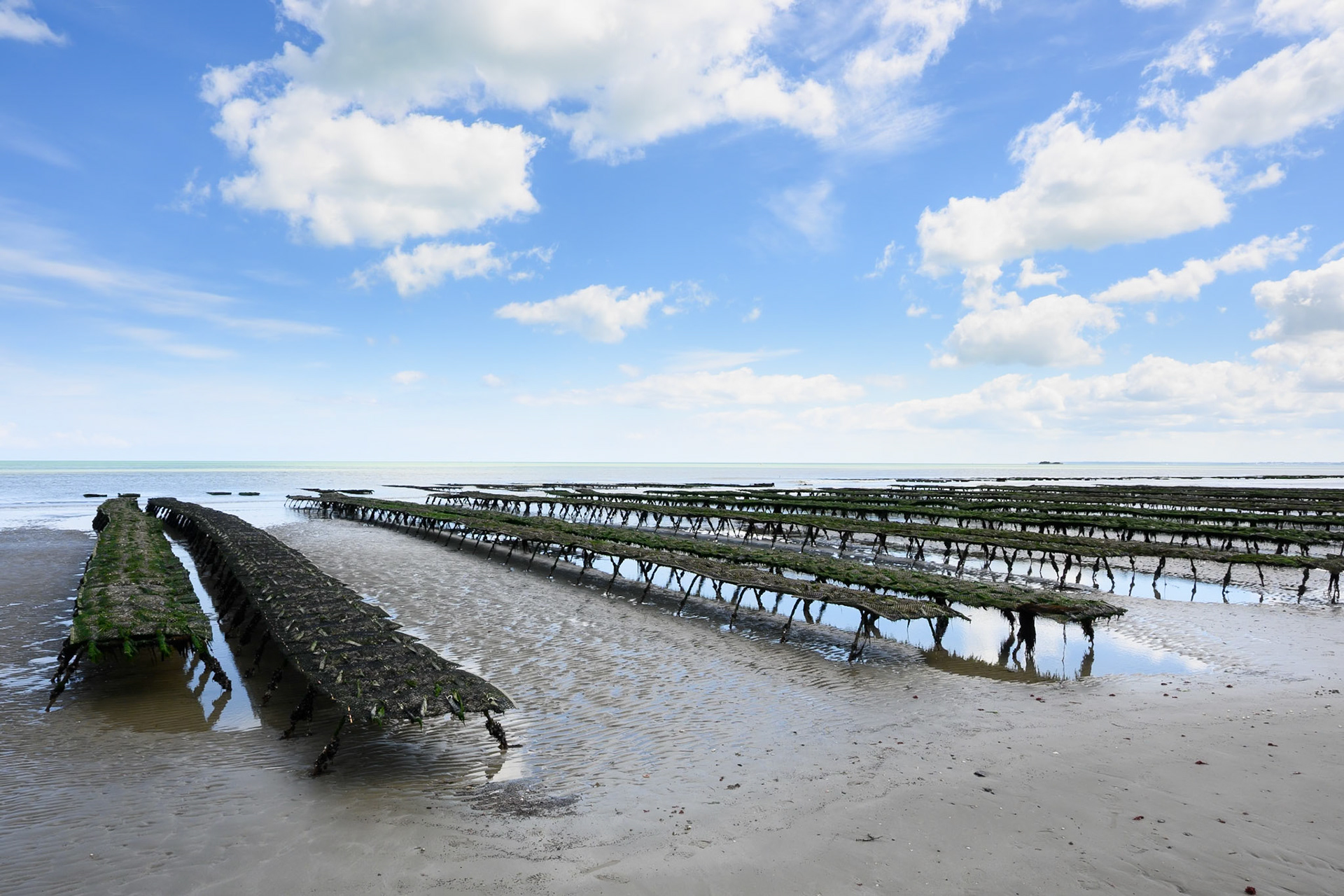 Mussel beds near Hameau Mottet