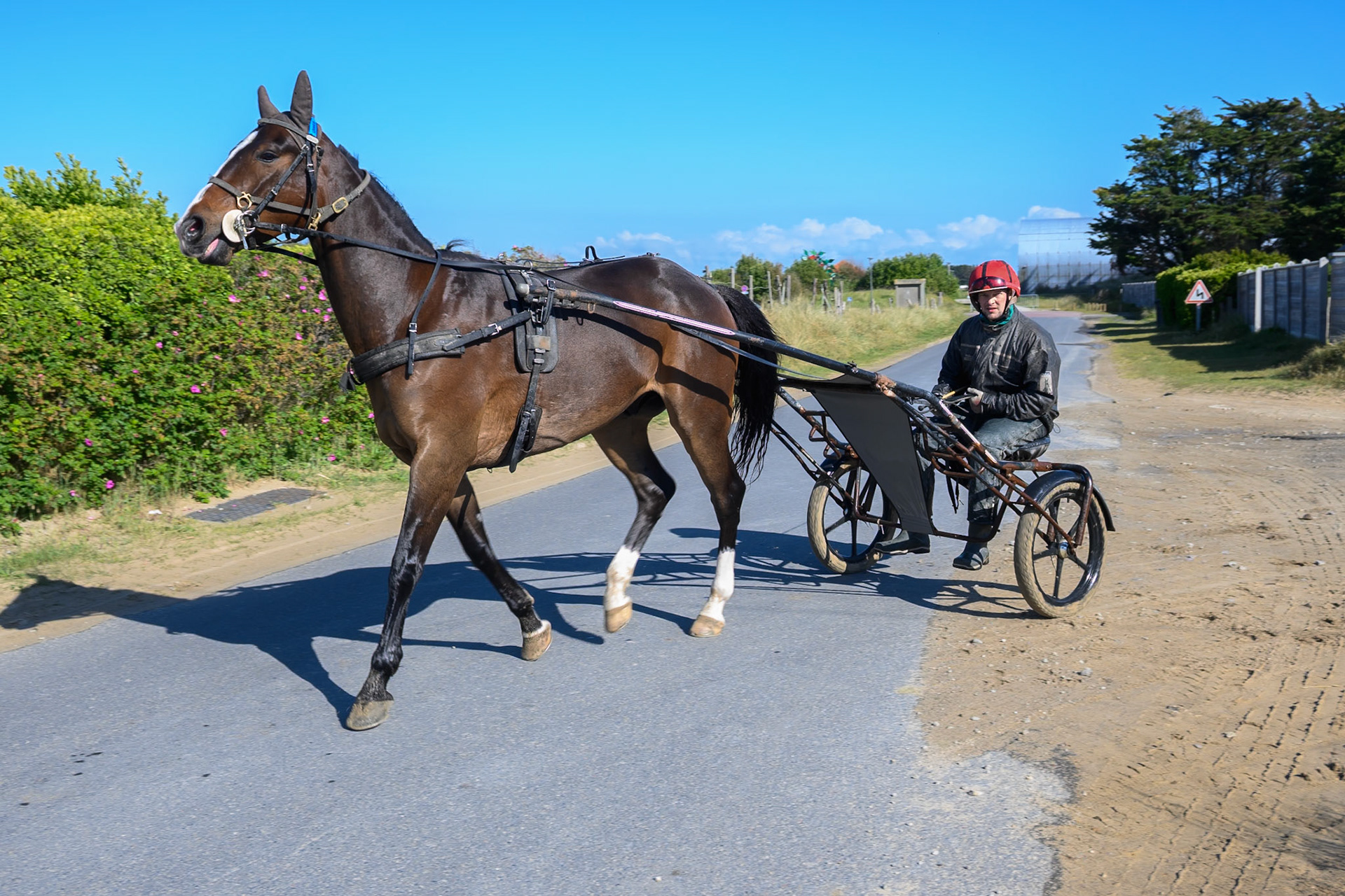 Harness racing training, Utah Beach