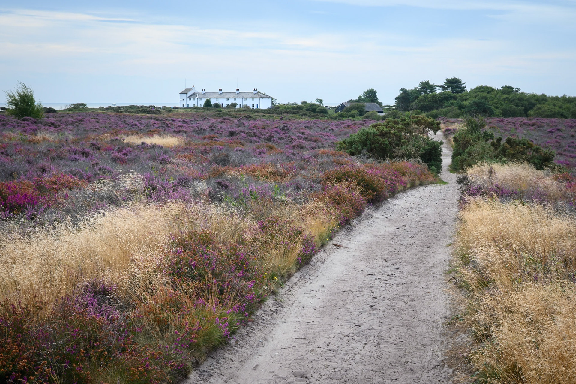 Coastguard Cottages, Dunwich Heath