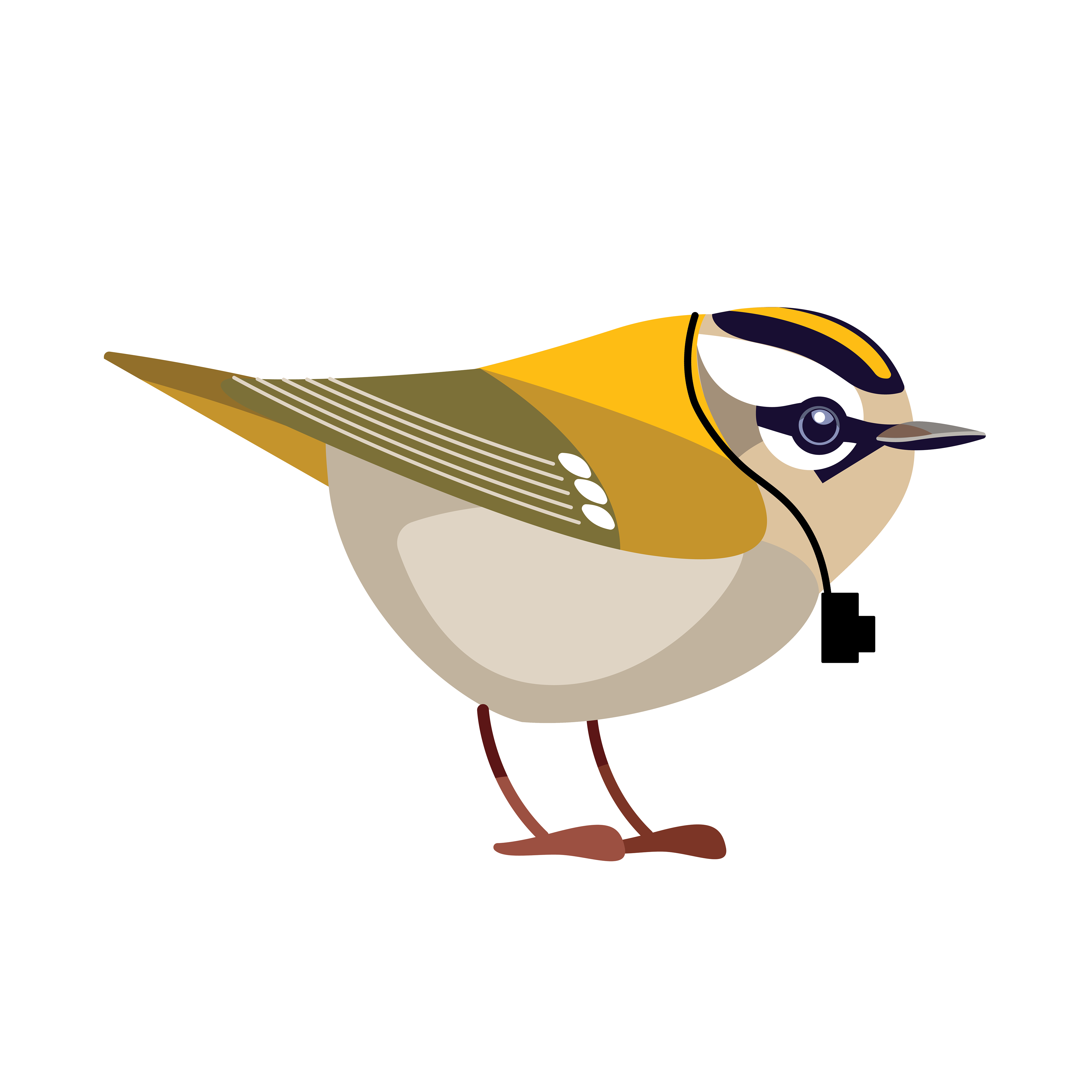 Firecrest Photography