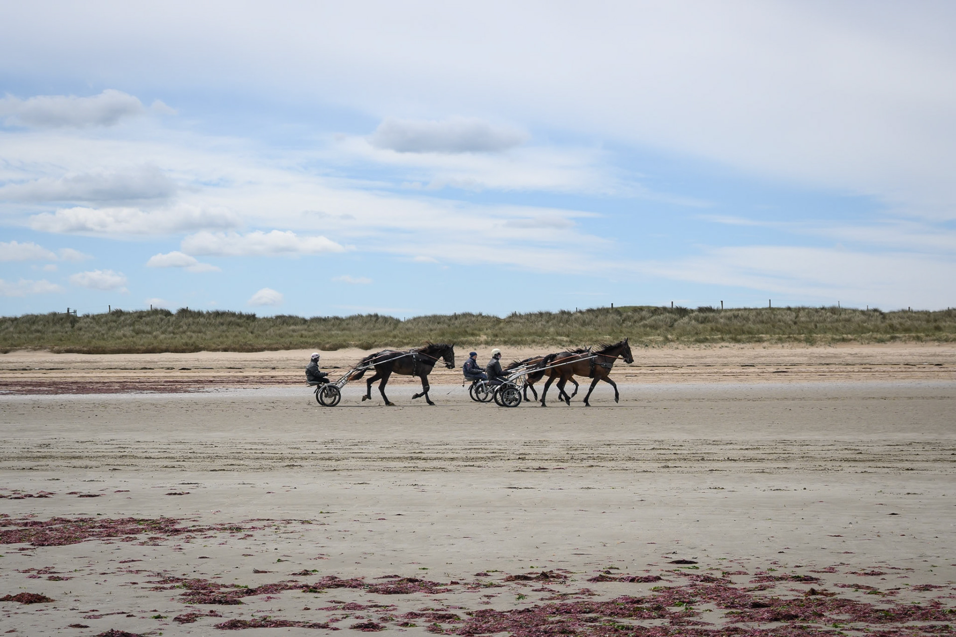 Harness racing training, Utah Beach