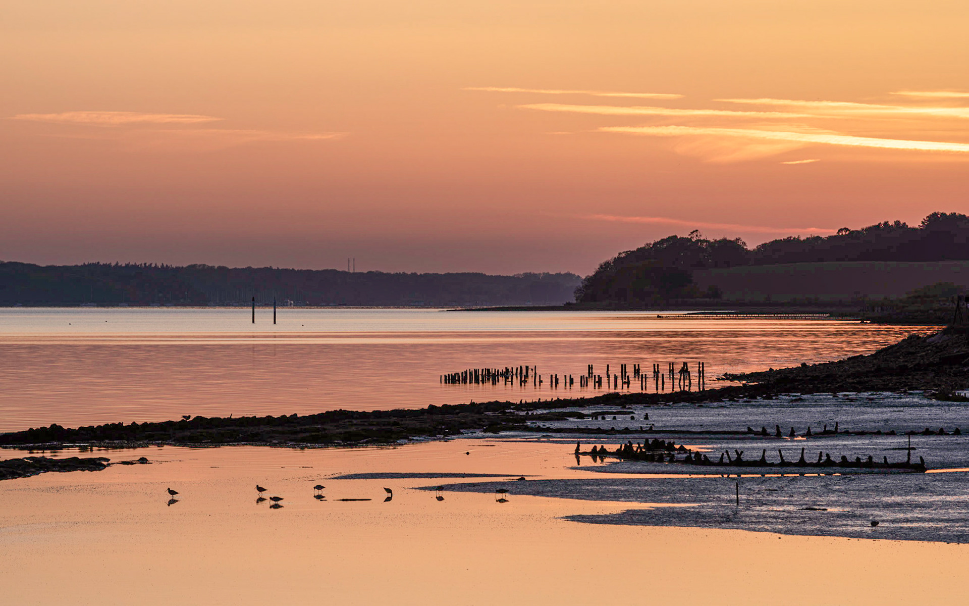 River Orwell from Levington Marina