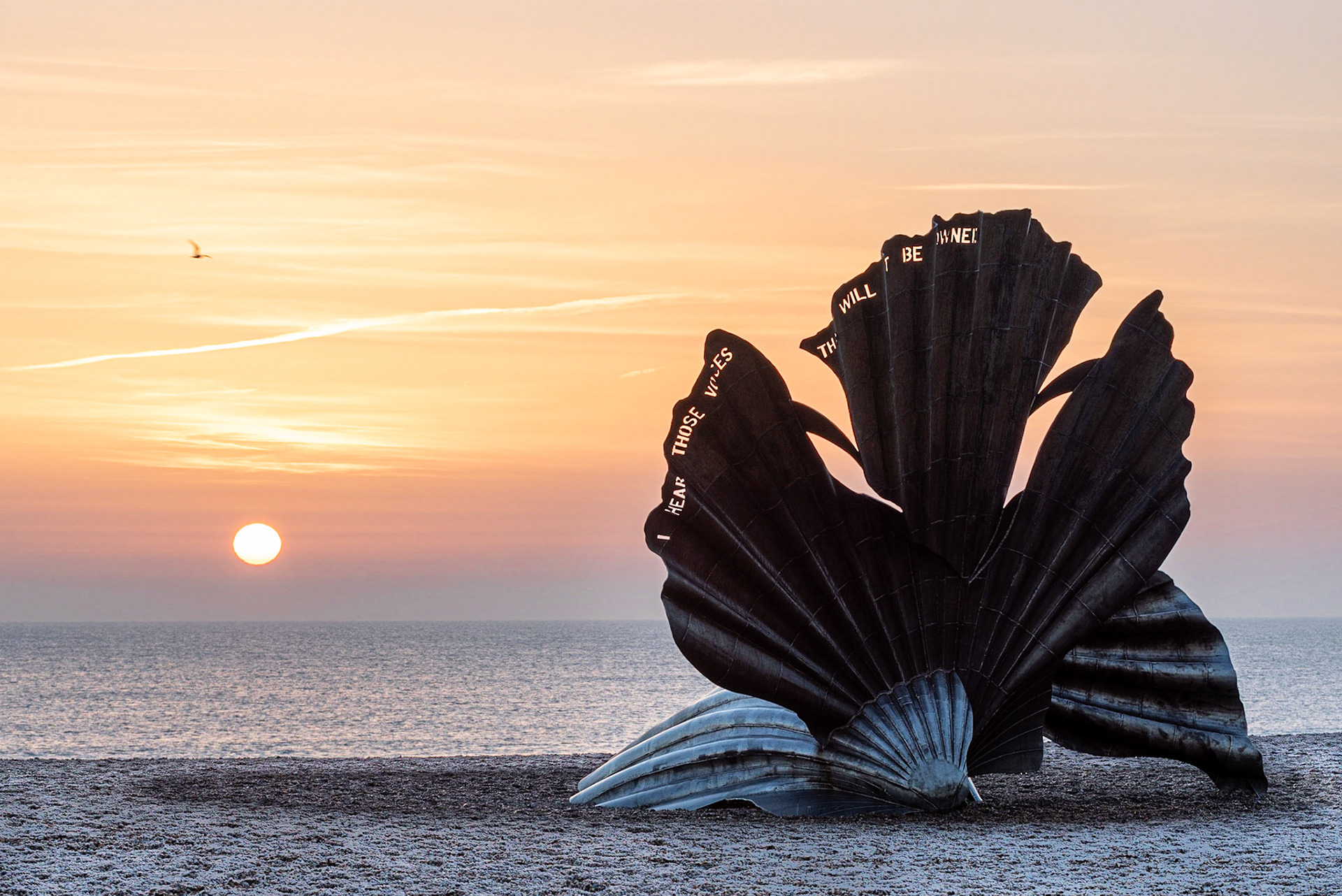Aldeburgh Scallop