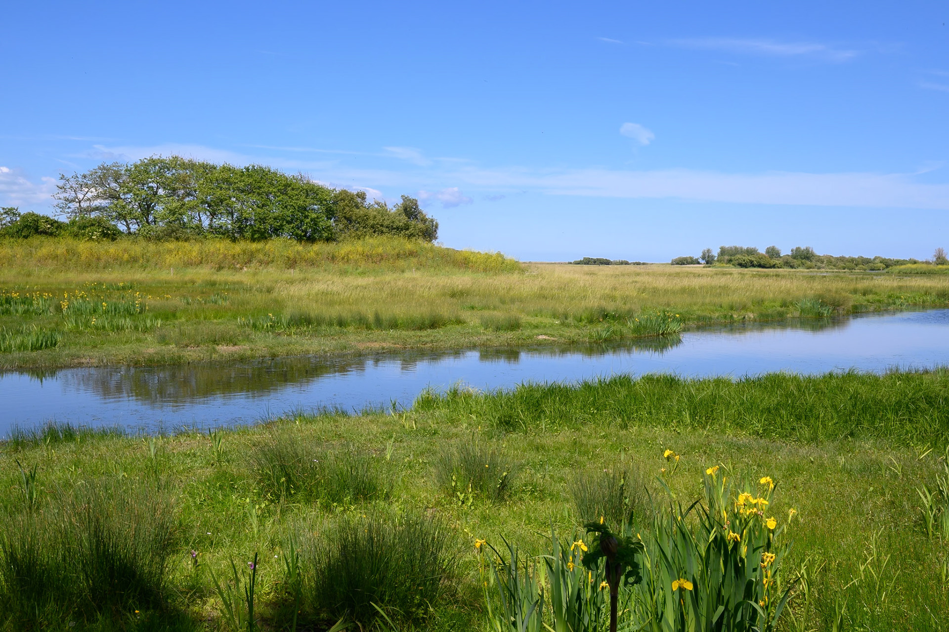 National Nature Reserve Beauguillot