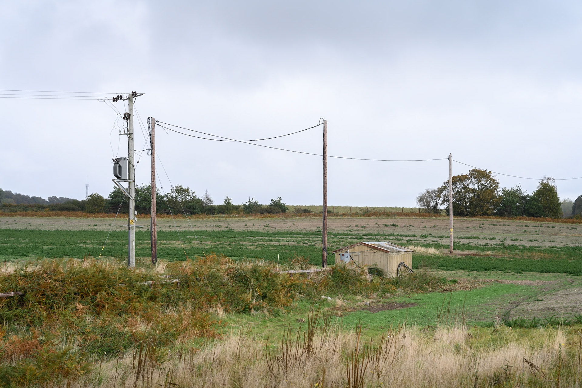 Wires, Hazelwood Marshes