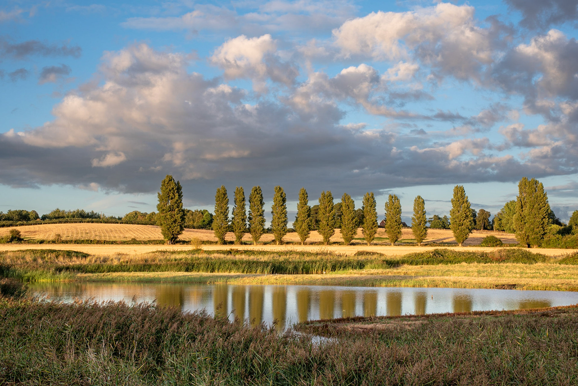Levington Lagoon