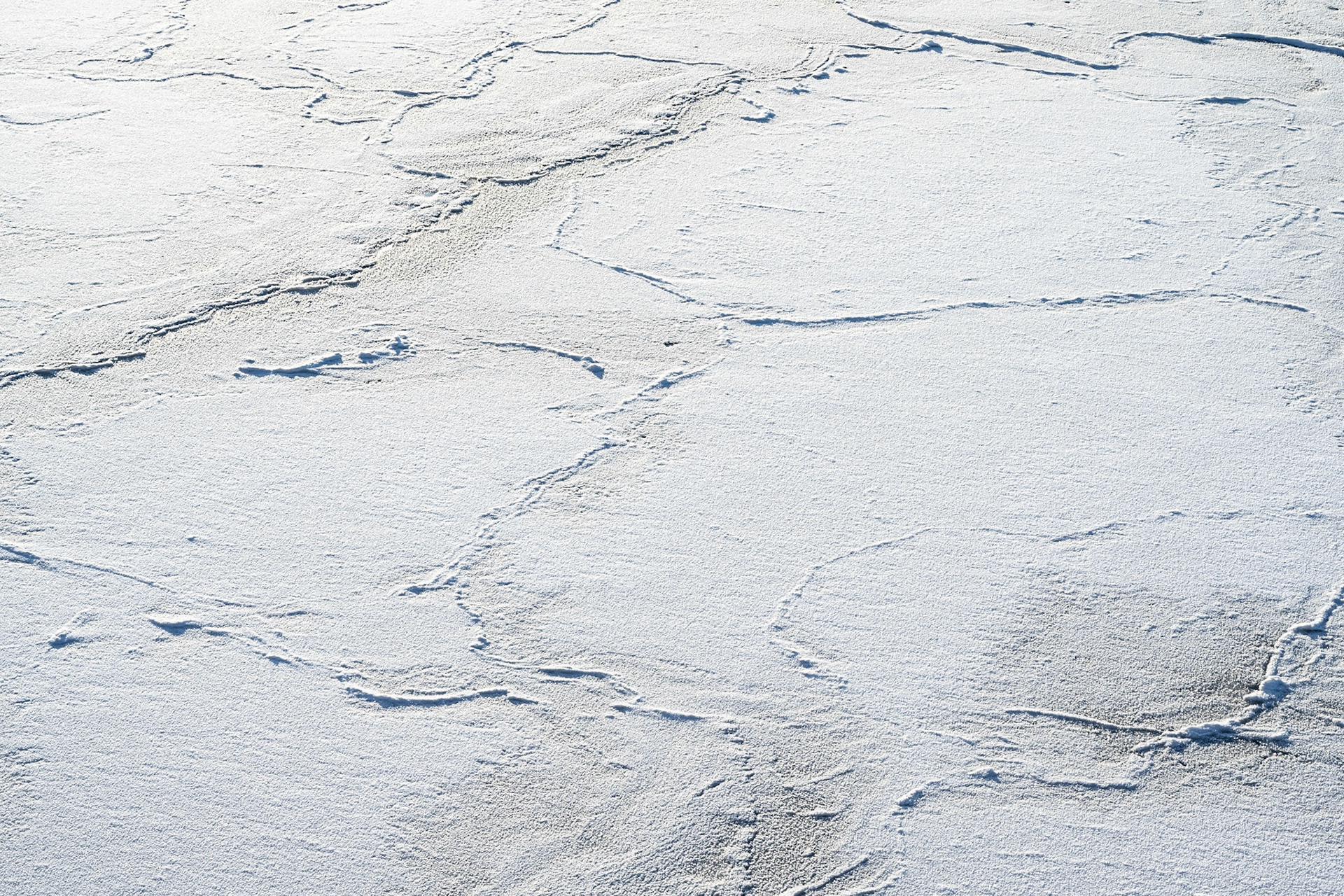 Ice patterns, Kirkenes