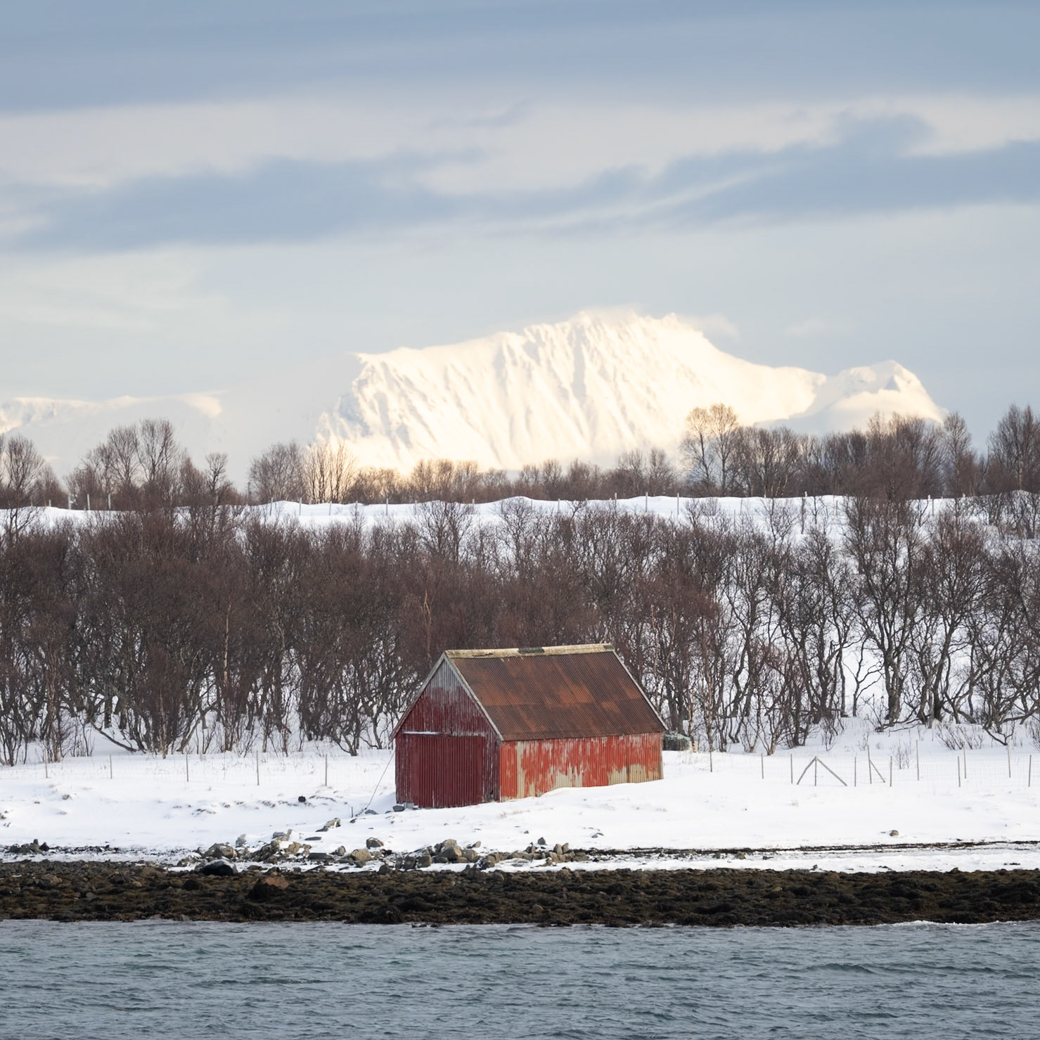 Lone hut near Risøyhamn