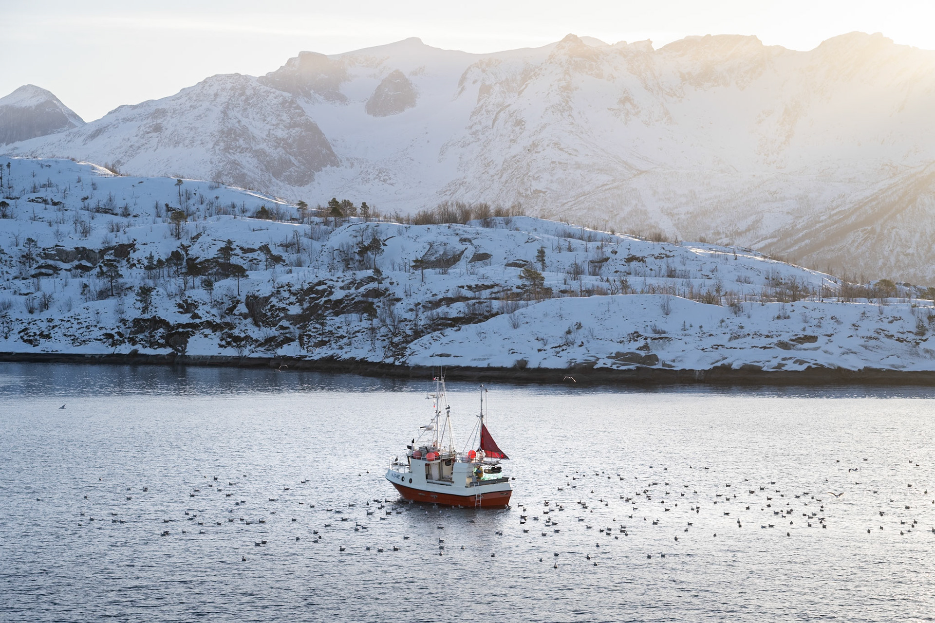 Fishing boat near Ornes