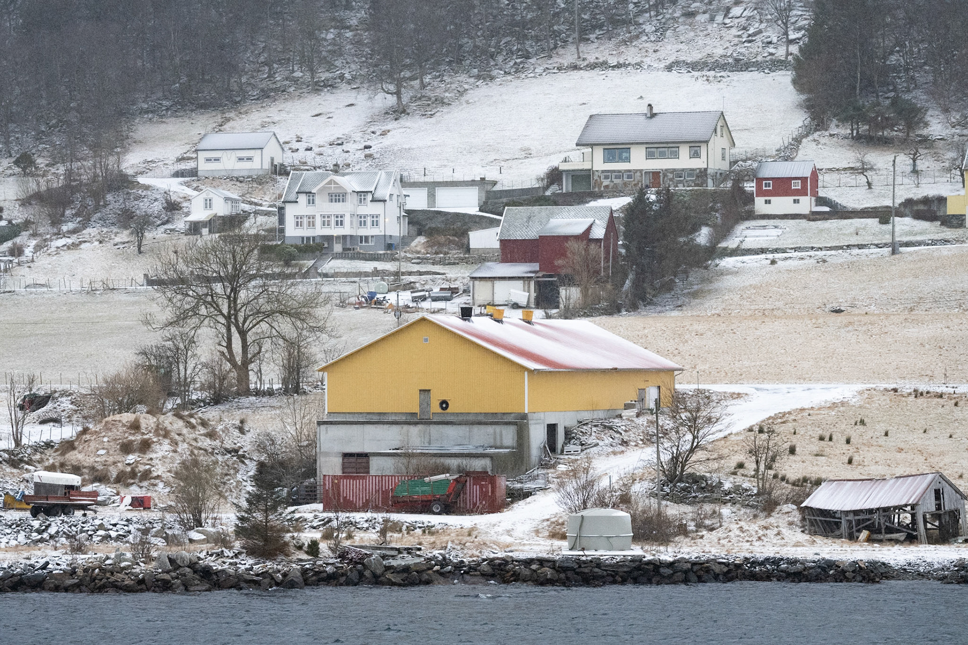 Torvik