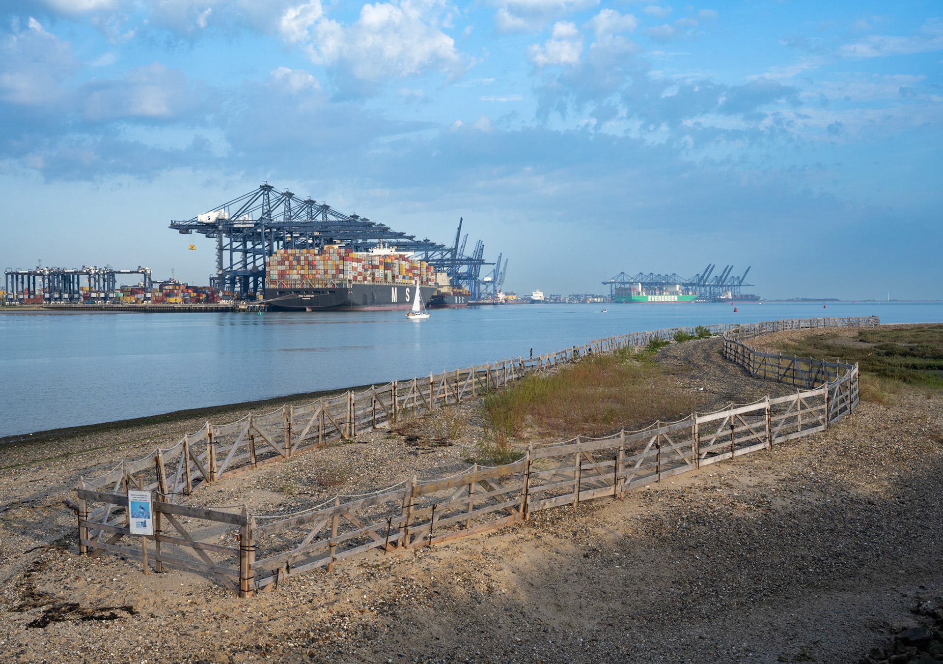 Felixstowe Port from Shotley