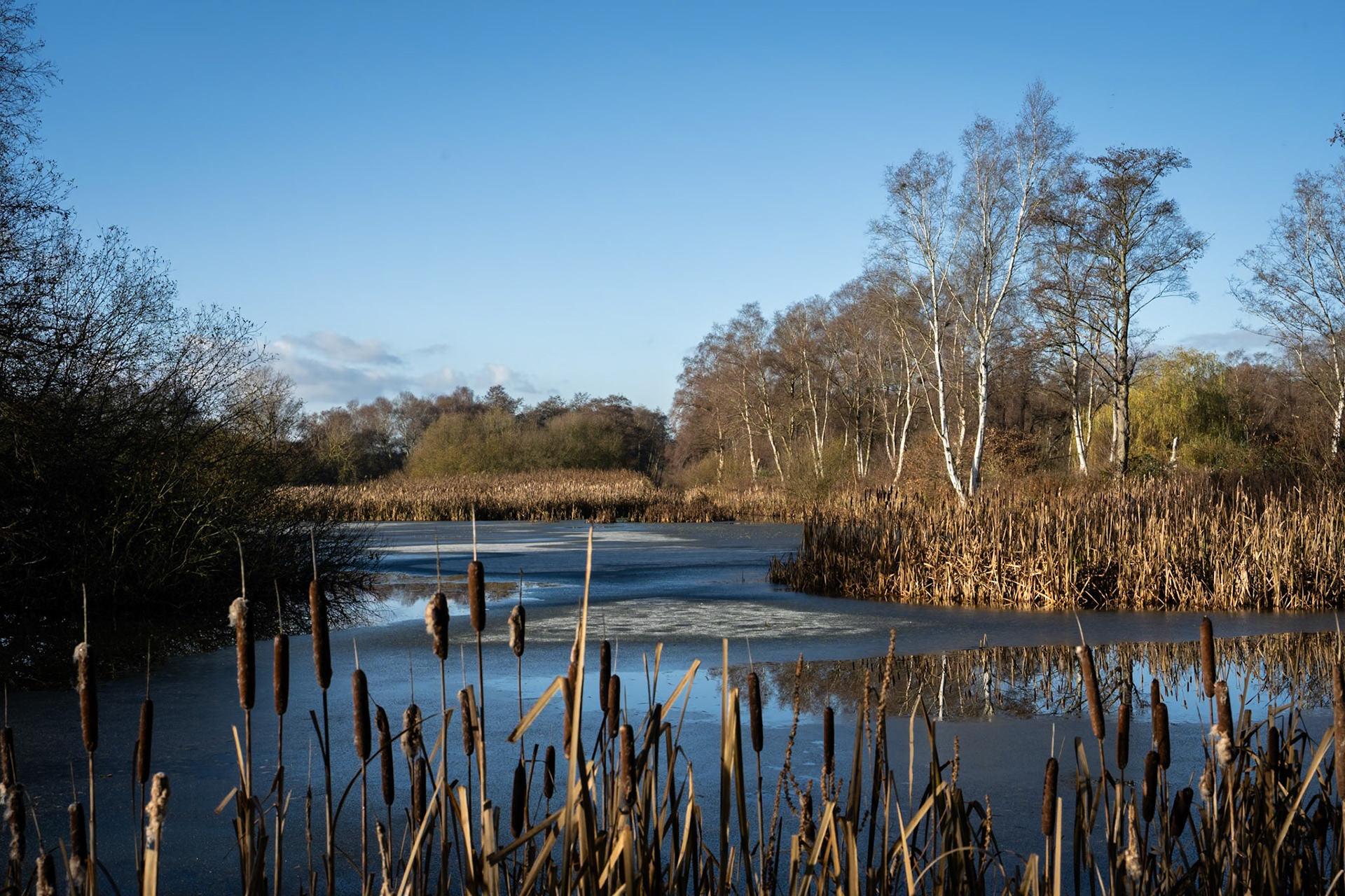 Staverton Lake