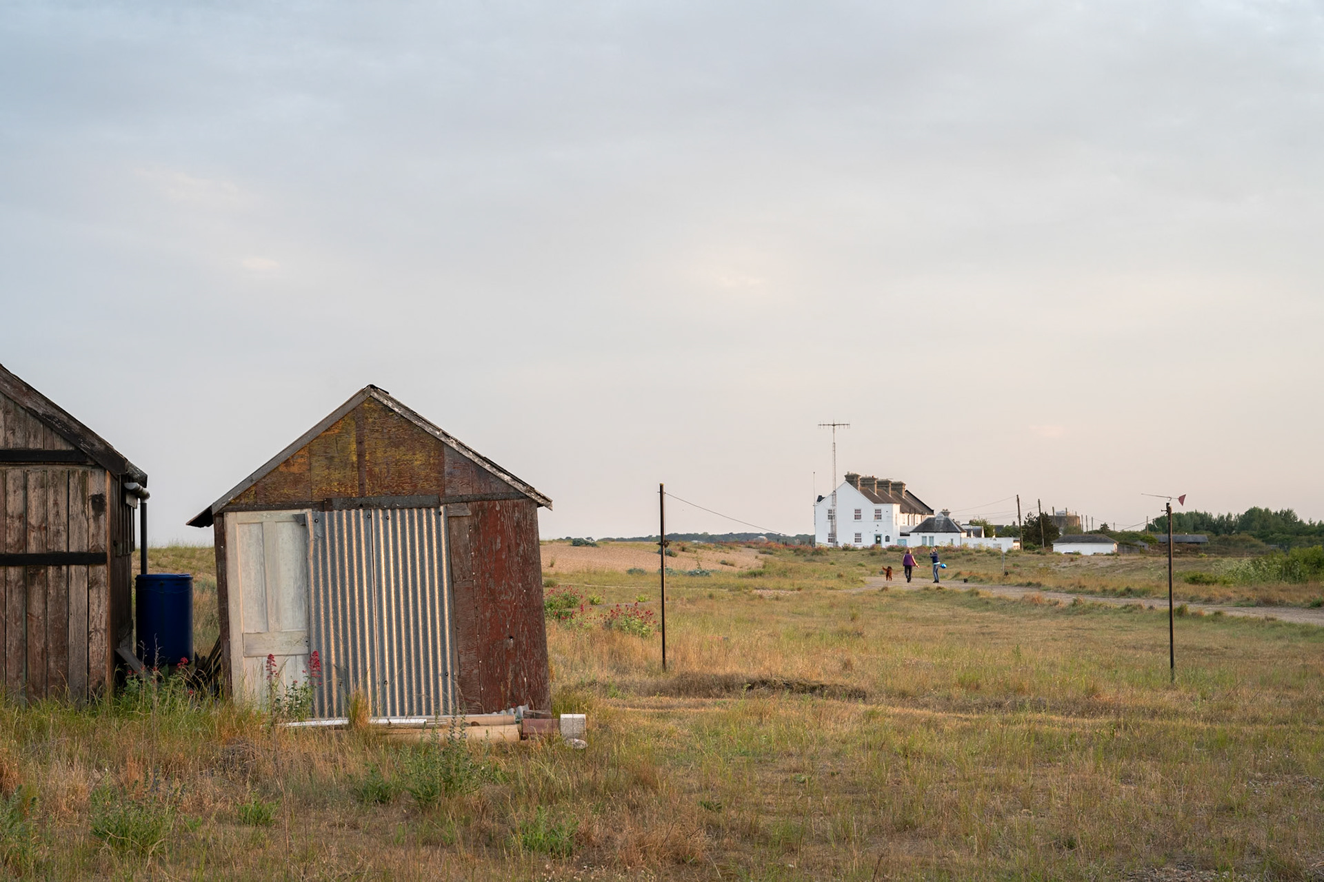 Dog Walkers at Shingle Street