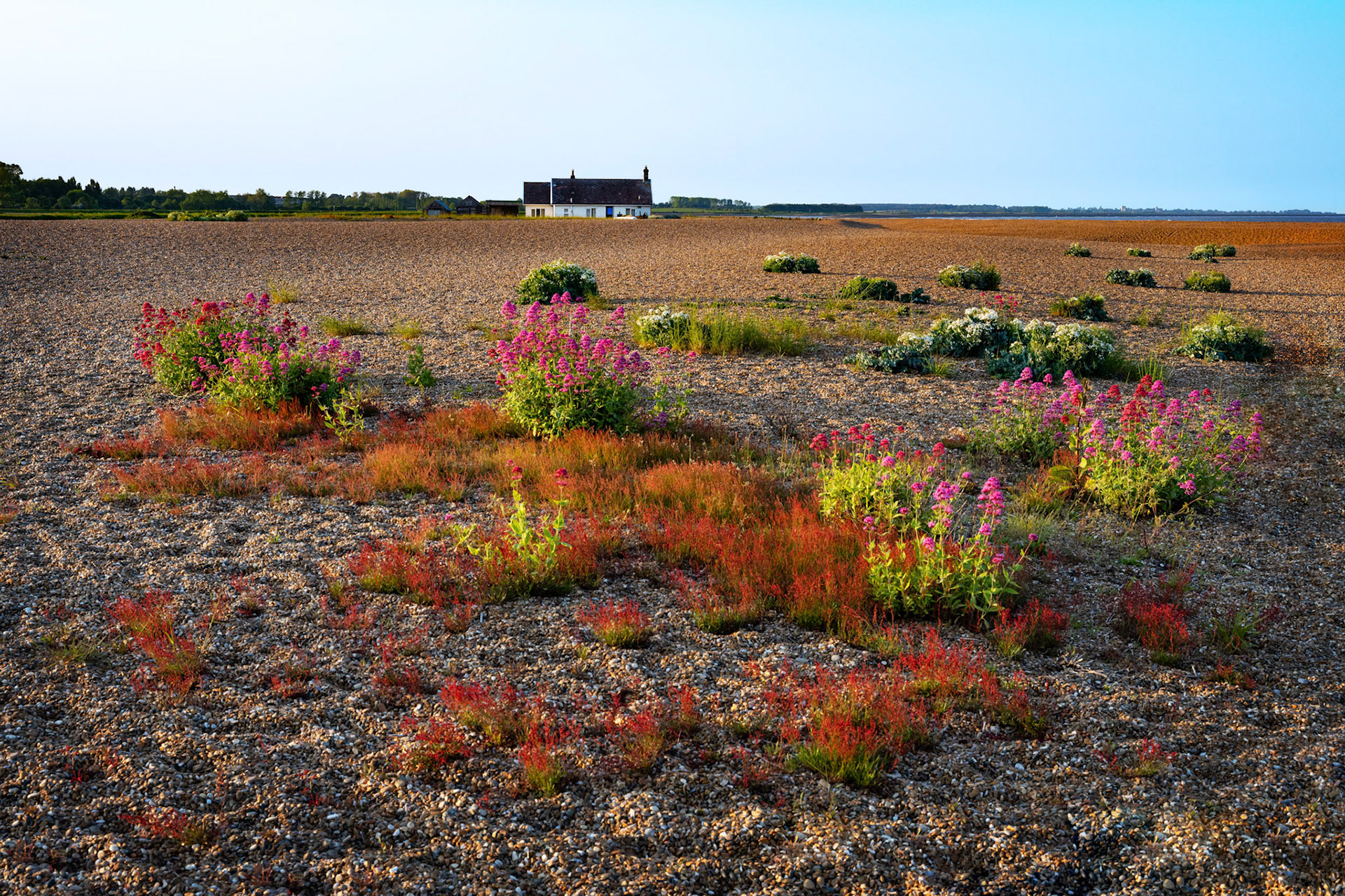 Shingle Street