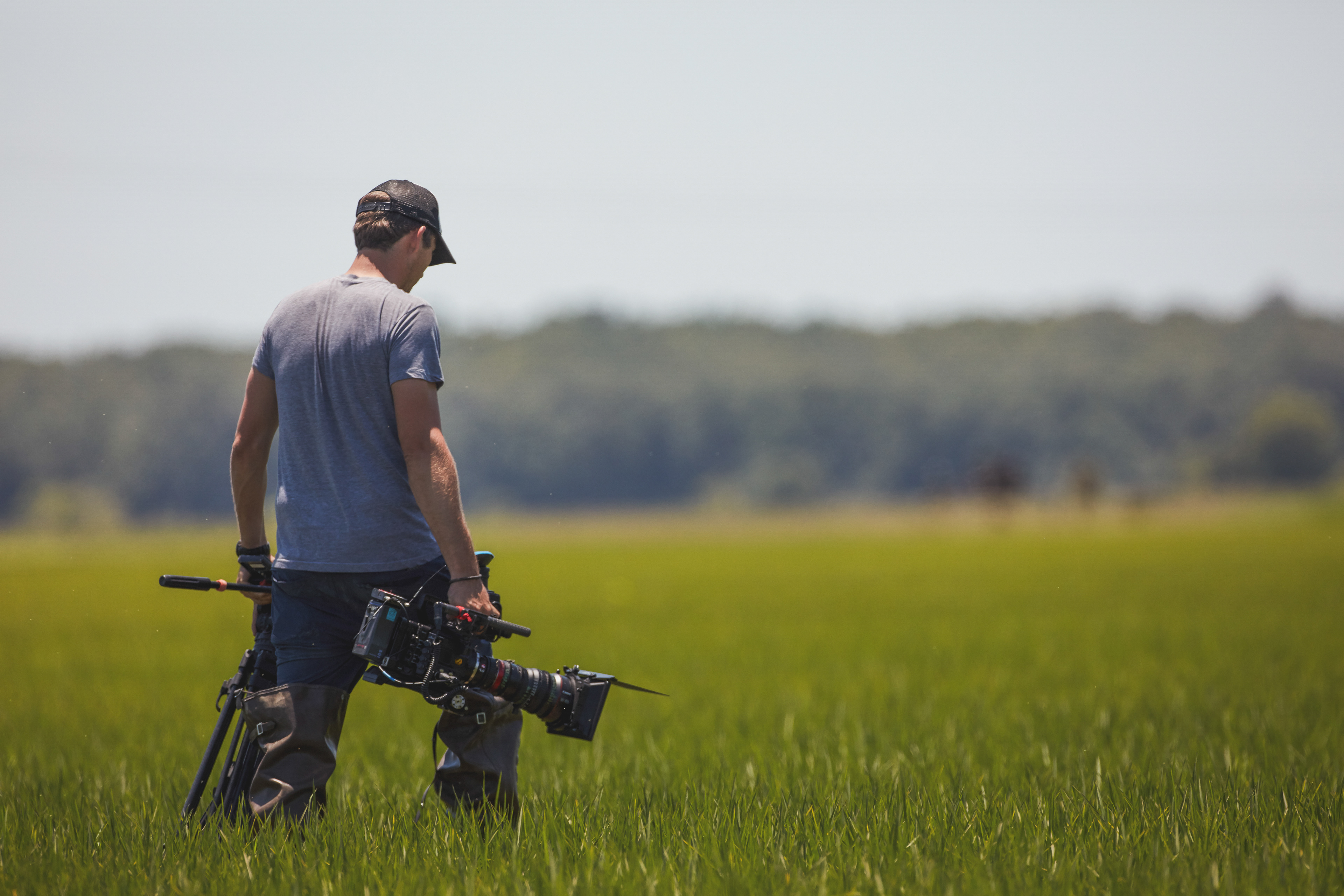 PF Changs Farm To Wok - Arkansas Rice 