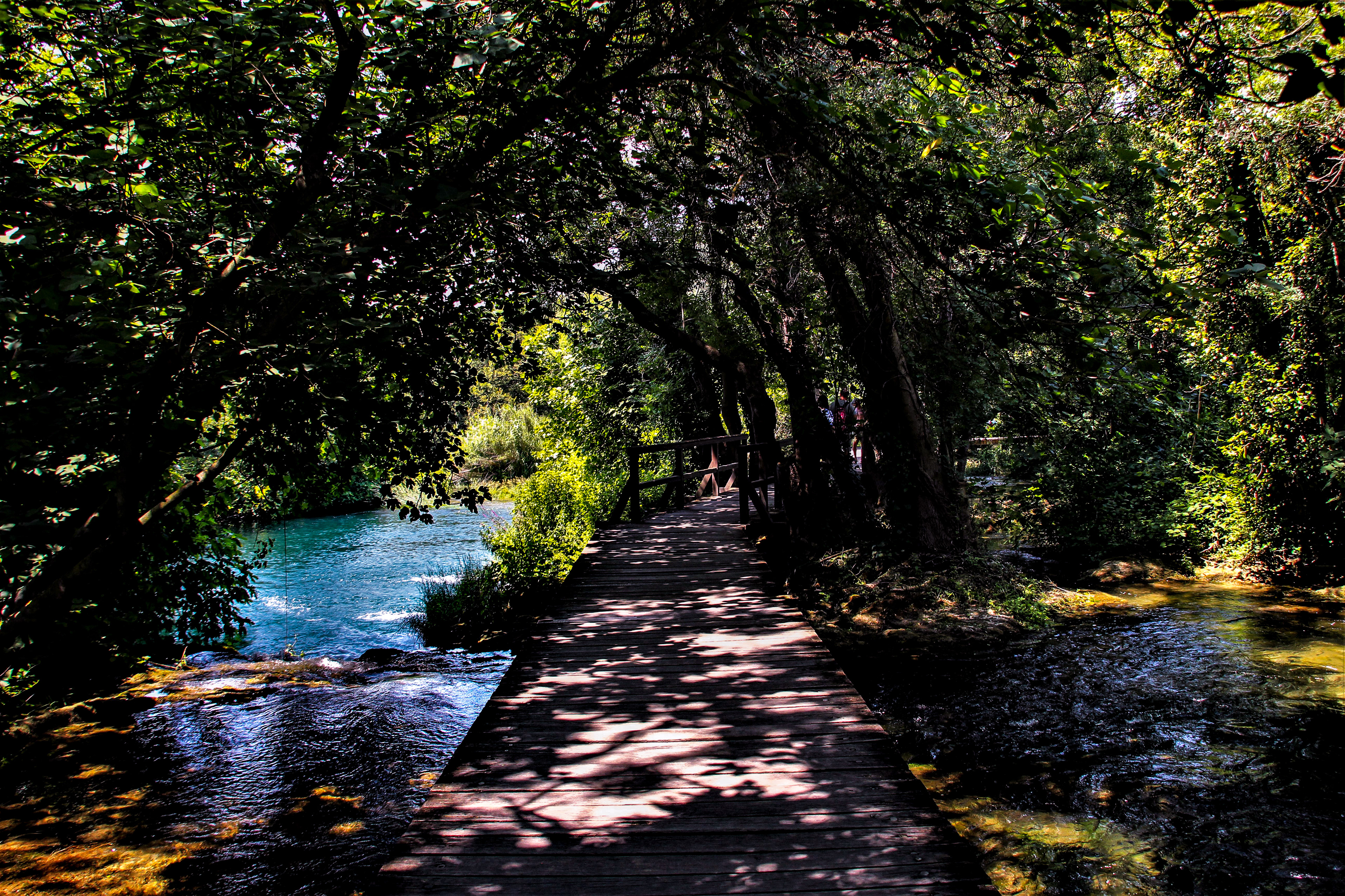 © Andishe Kokab-Danesh 2018