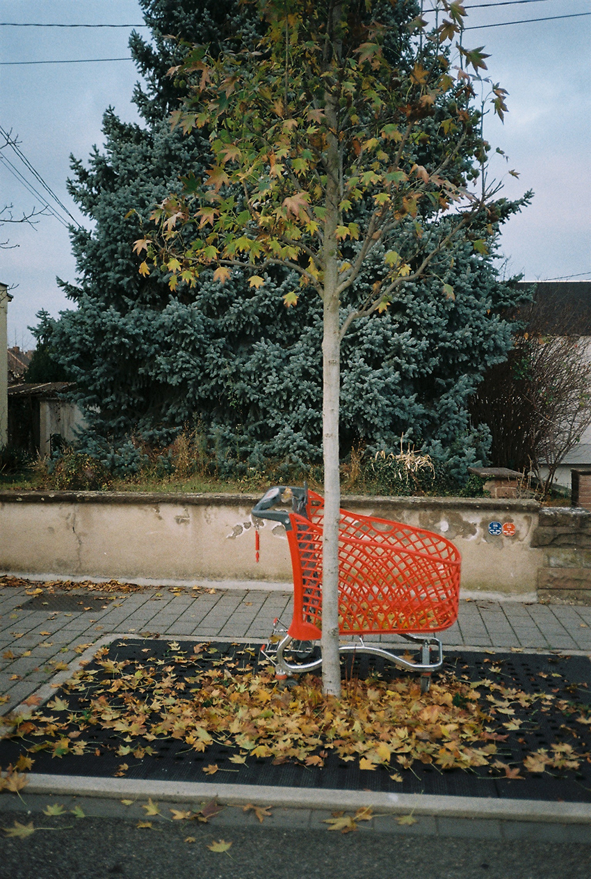 Illkirch - Yashica T5