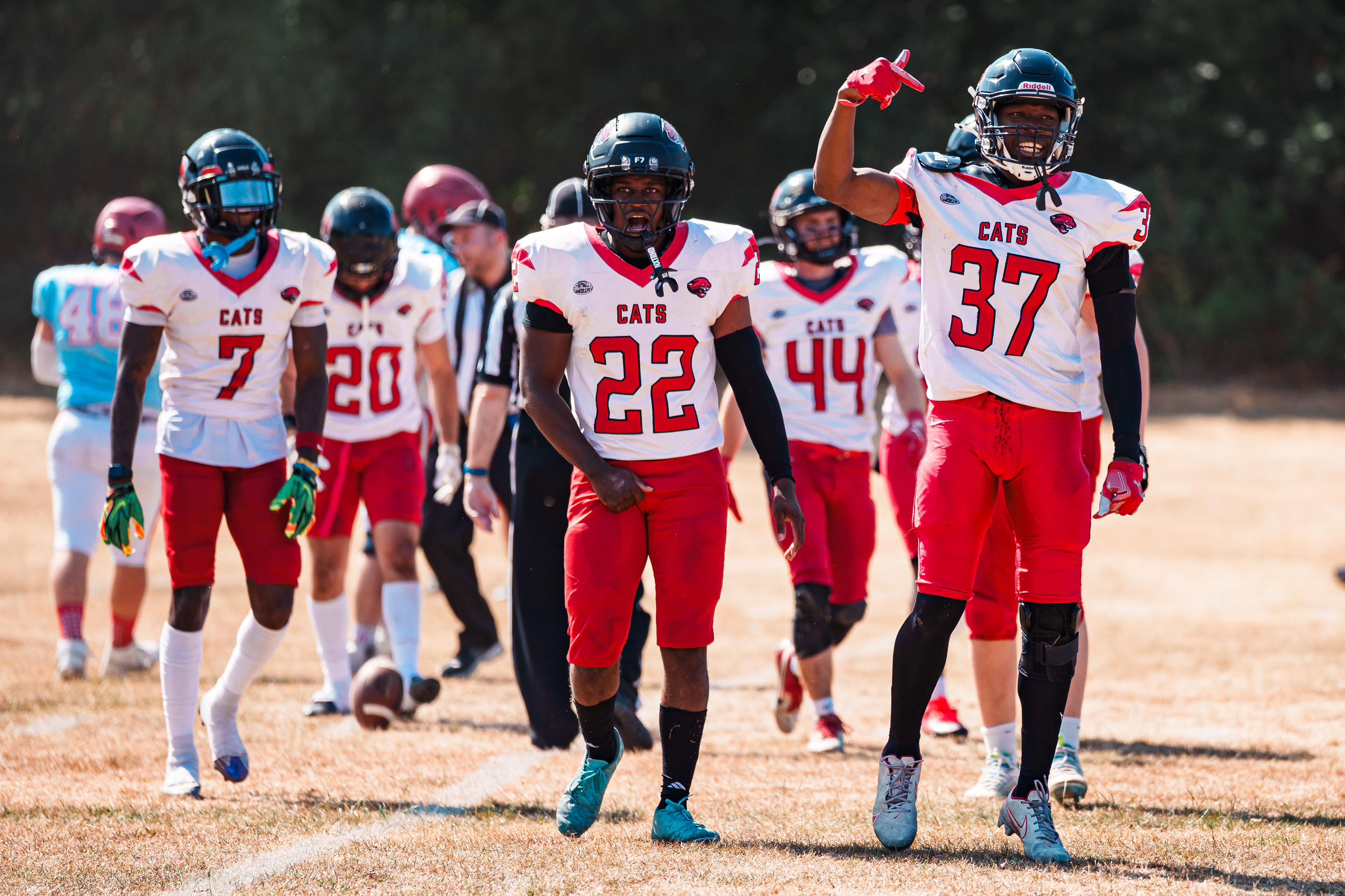 BAFA Premiership South - Cambridgeshire Cats vs Rushmoor Knights