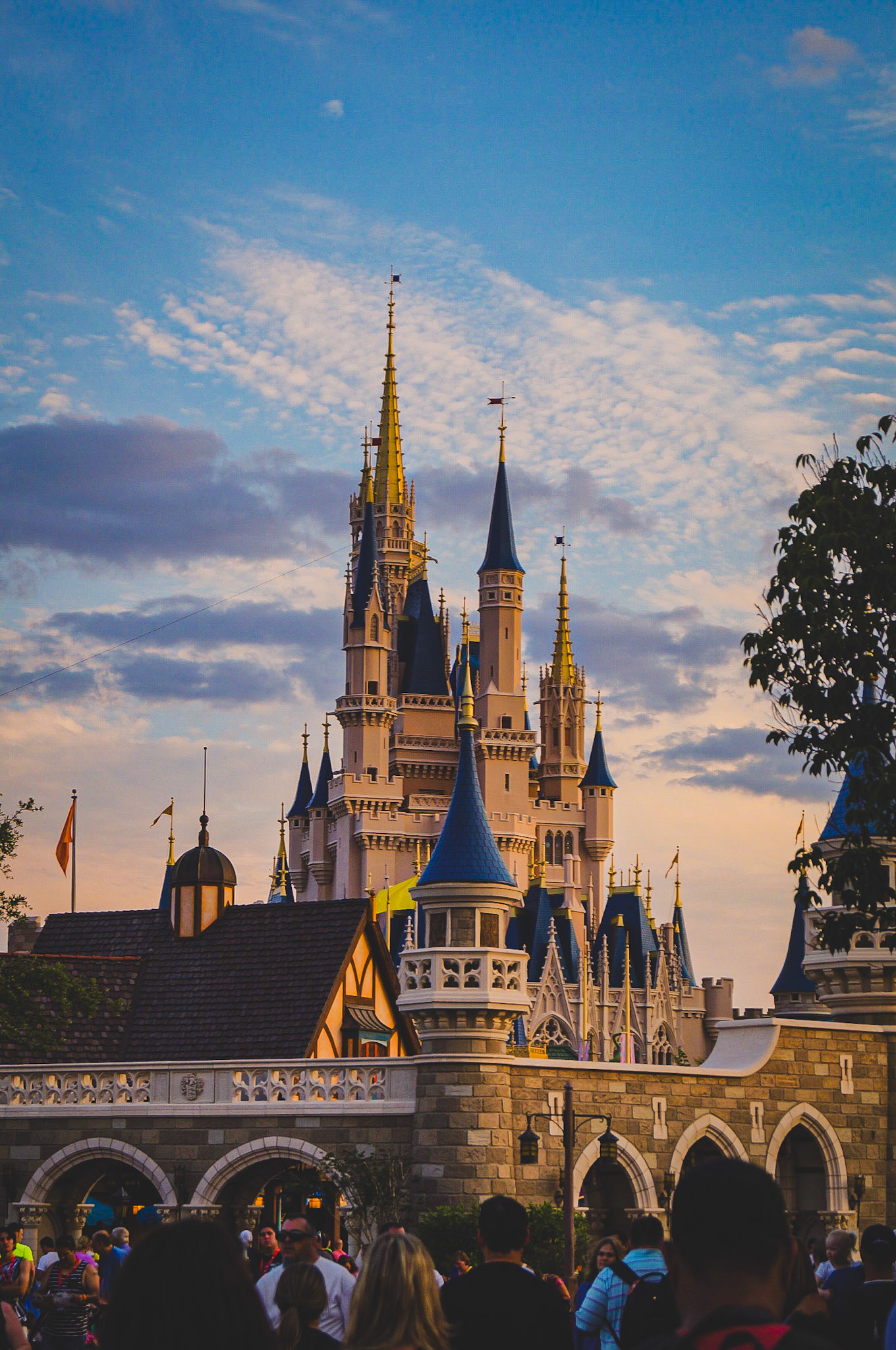 Magic Kingdom 2015