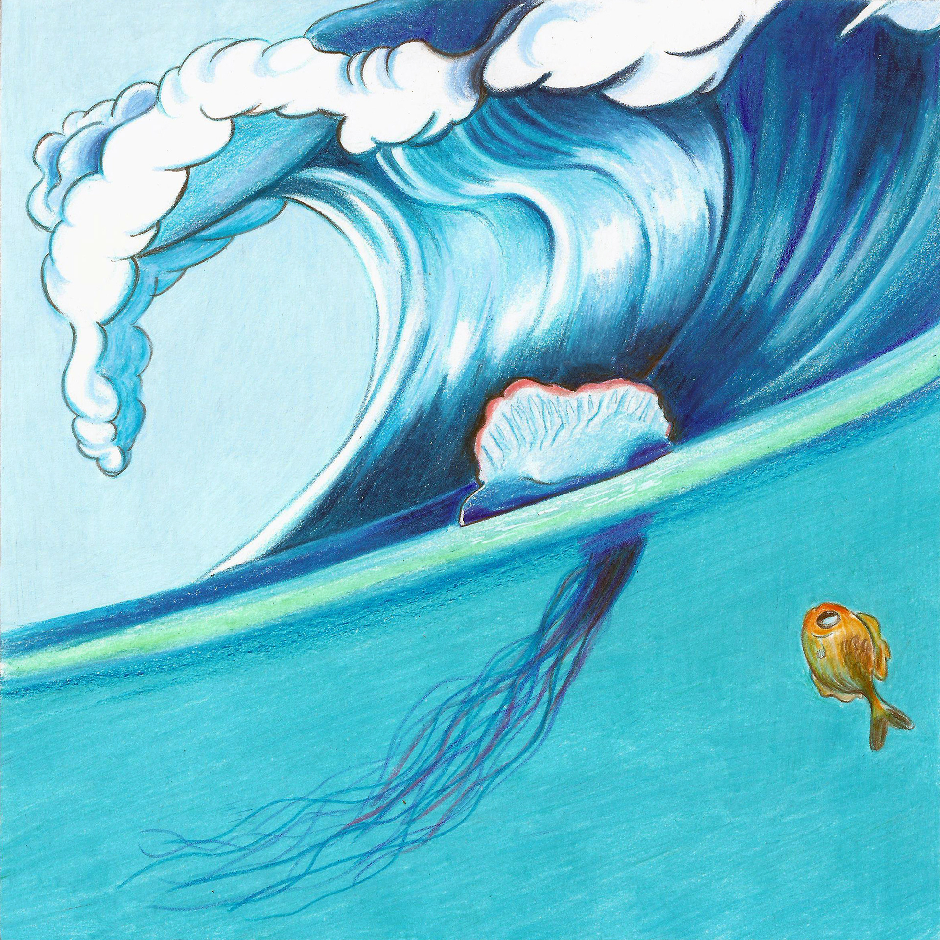 Wonders beneath the Waves